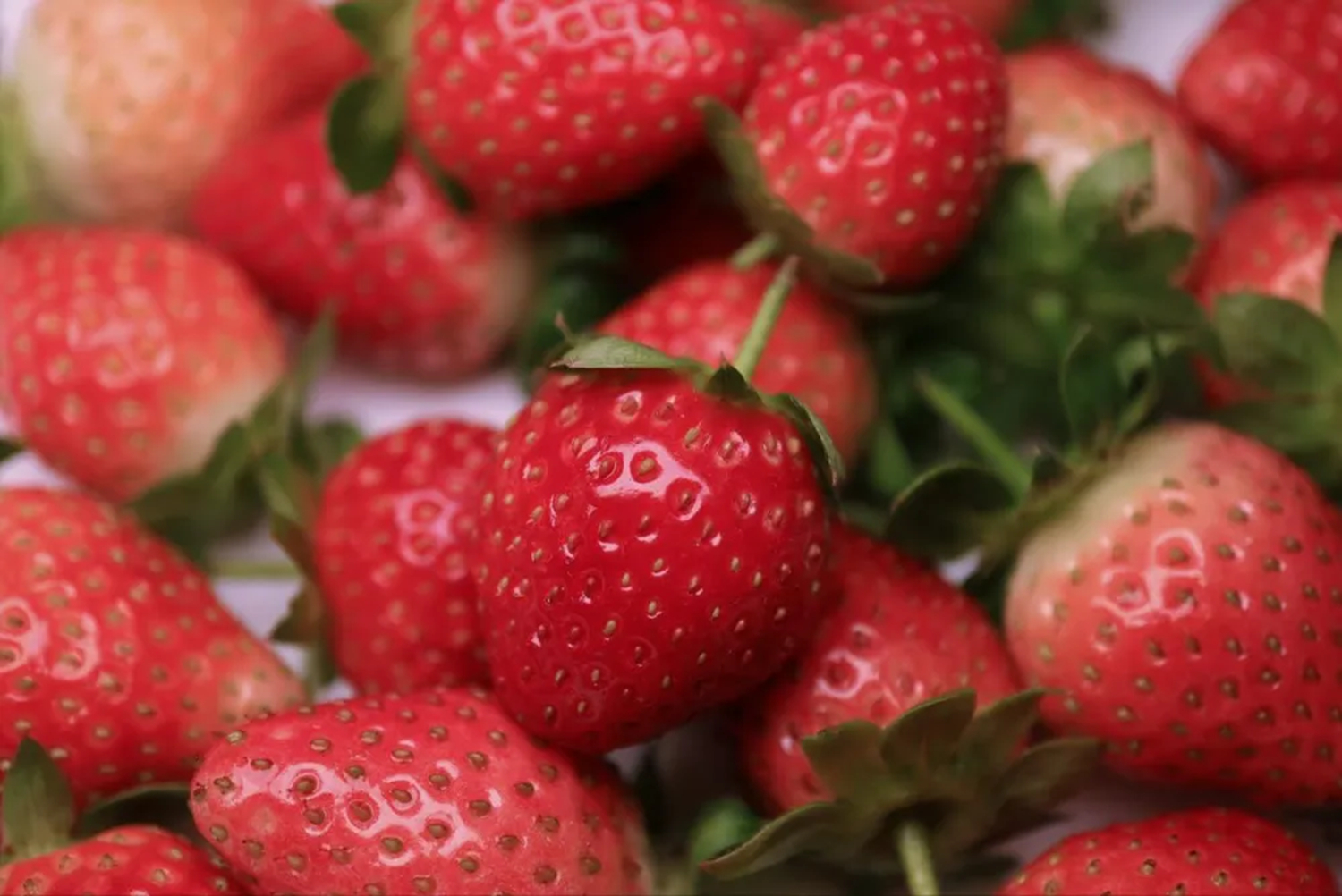 4 loại tr&aacute;i c&acirc;y người Việt ăn h&agrave;ng ng&agrave;y gi&uacute;p bồi bổ m&aacute;u, nu&ocirc;i dưỡng gan, chợ b&aacute;n gi&aacute; rất rẻ- Ảnh 4.