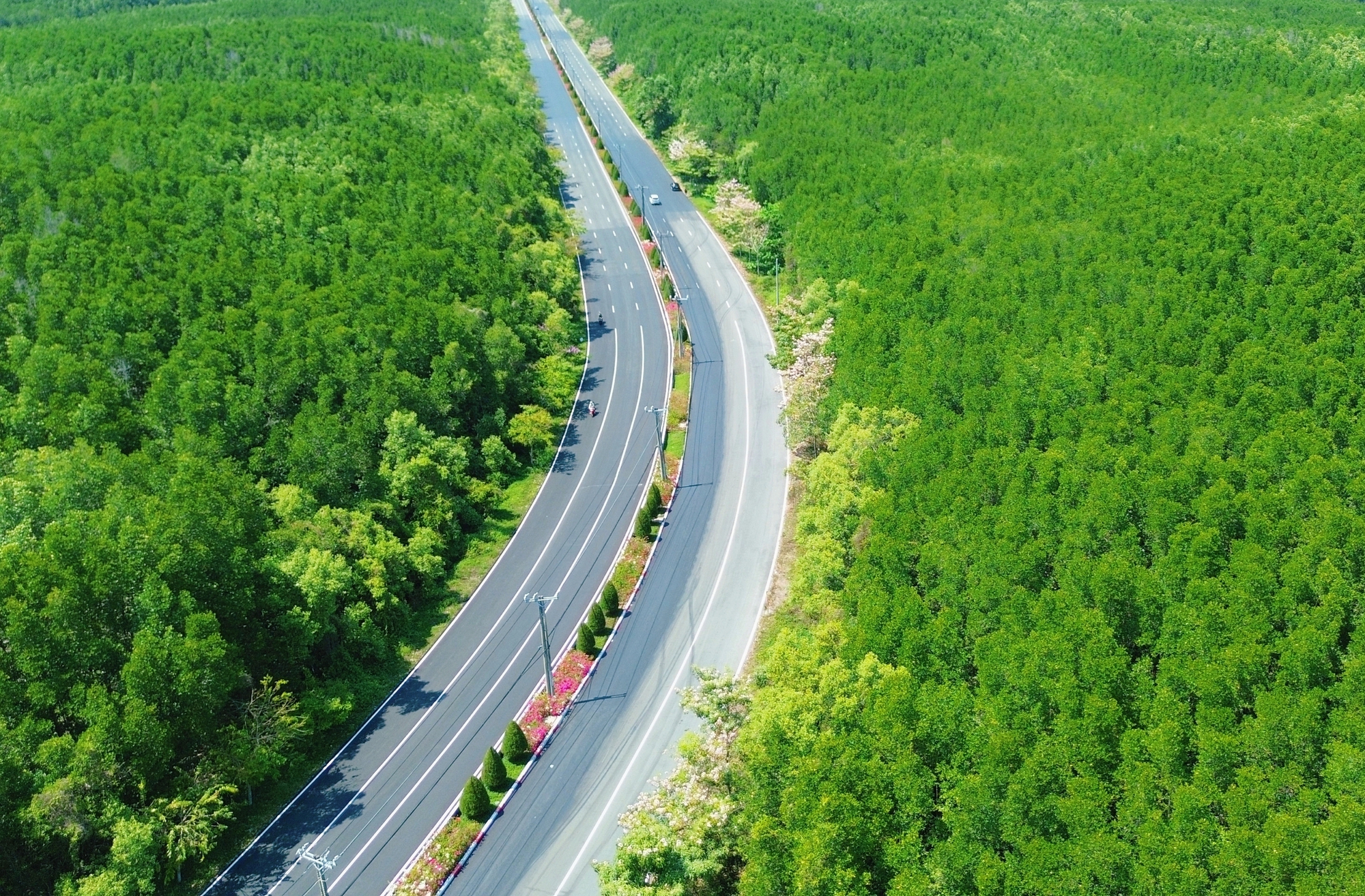 Một tuyến đường đang "đốn tim" giới trẻ TPHCM- Ảnh 16.