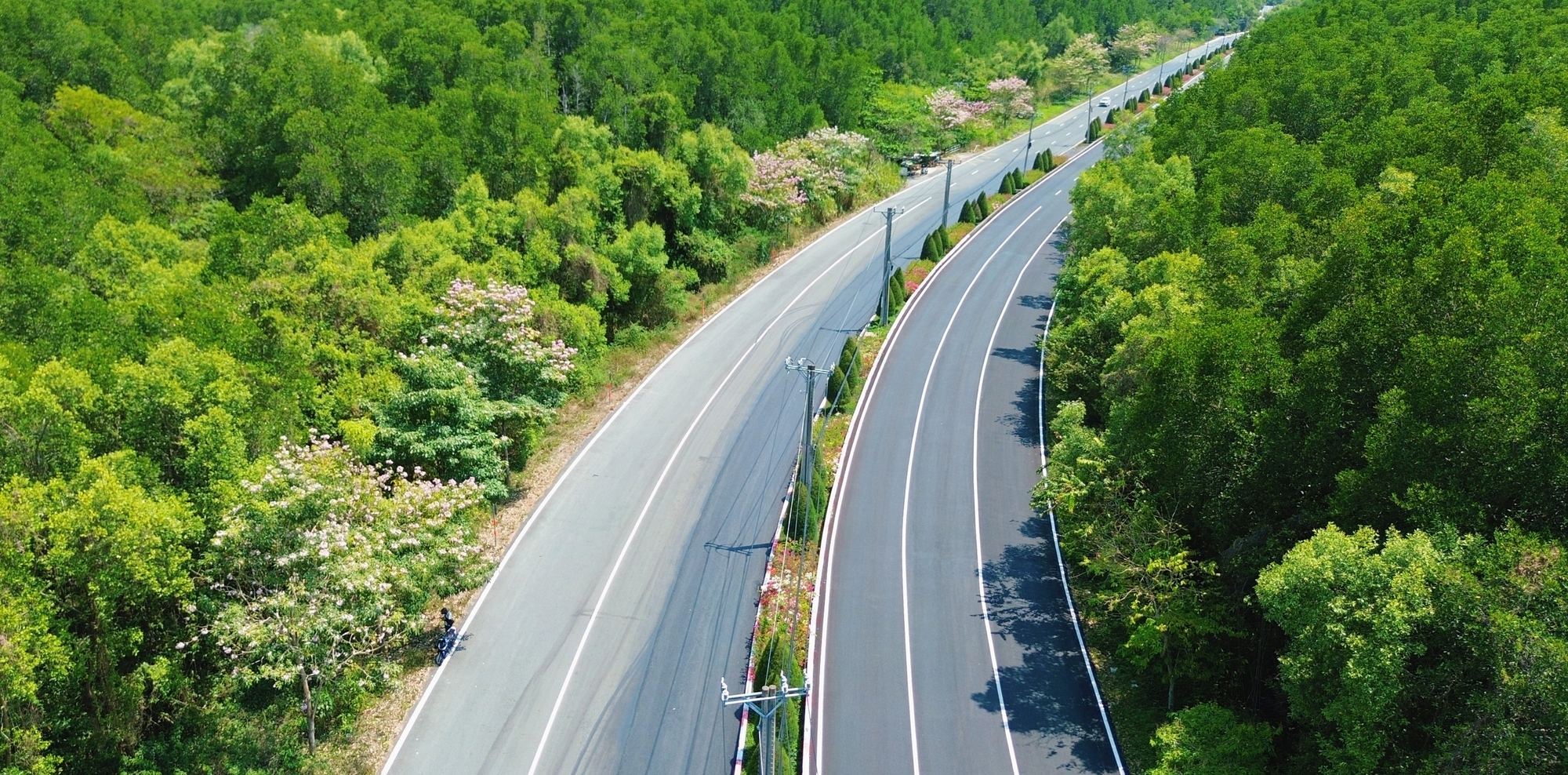 Một tuyến đường đang "đốn tim" giới trẻ TPHCM- Ảnh 15.