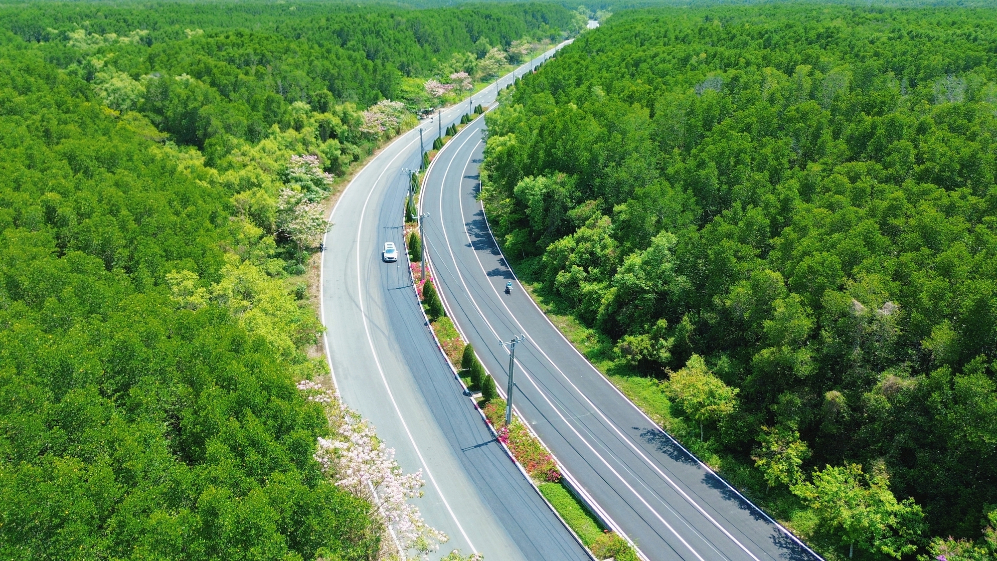 Một tuyến đường đang "đốn tim" giới trẻ TPHCM- Ảnh 14.