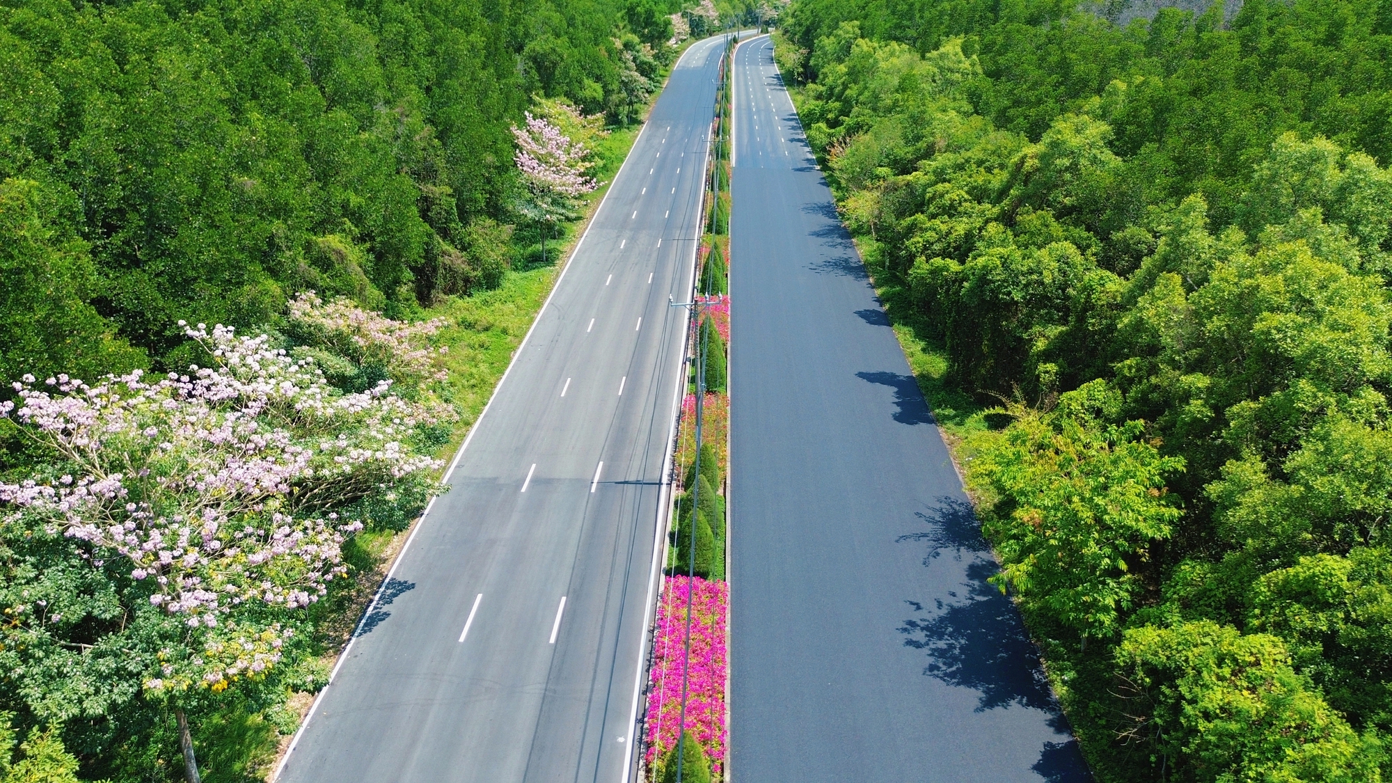 Một tuyến đường đang "đốn tim" giới trẻ TPHCM- Ảnh 13.