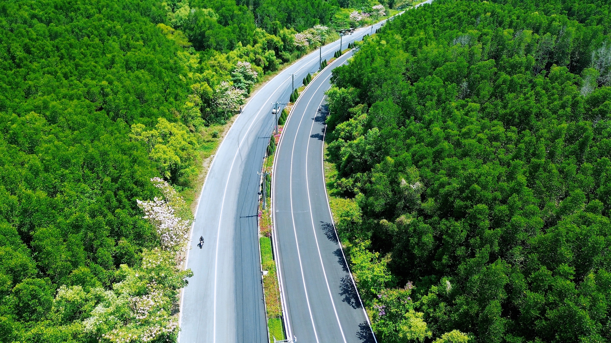 Một tuyến đường đang "đốn tim" giới trẻ TPHCM- Ảnh 12.