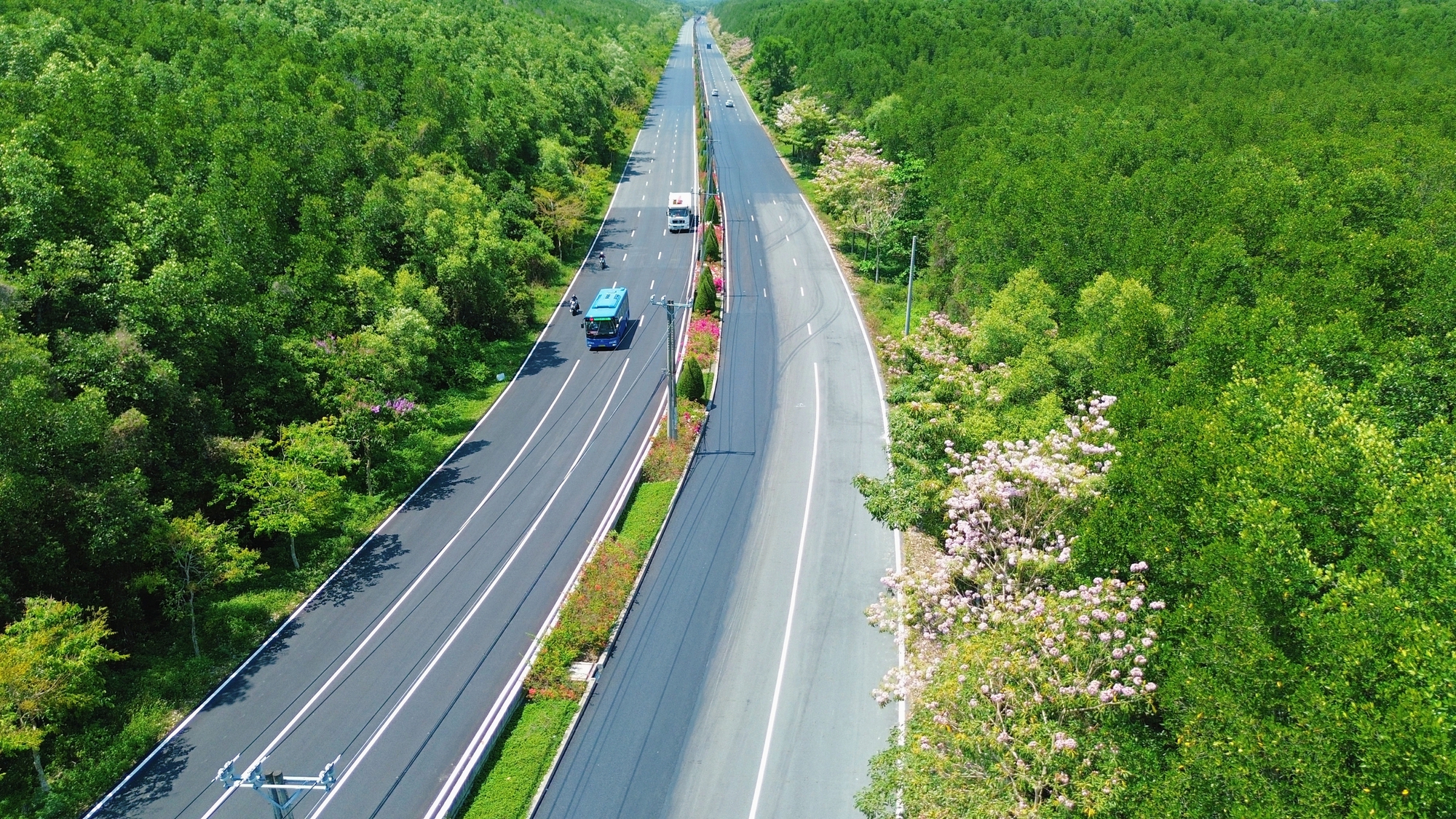 Một tuyến đường đang "đốn tim" giới trẻ TPHCM- Ảnh 10.