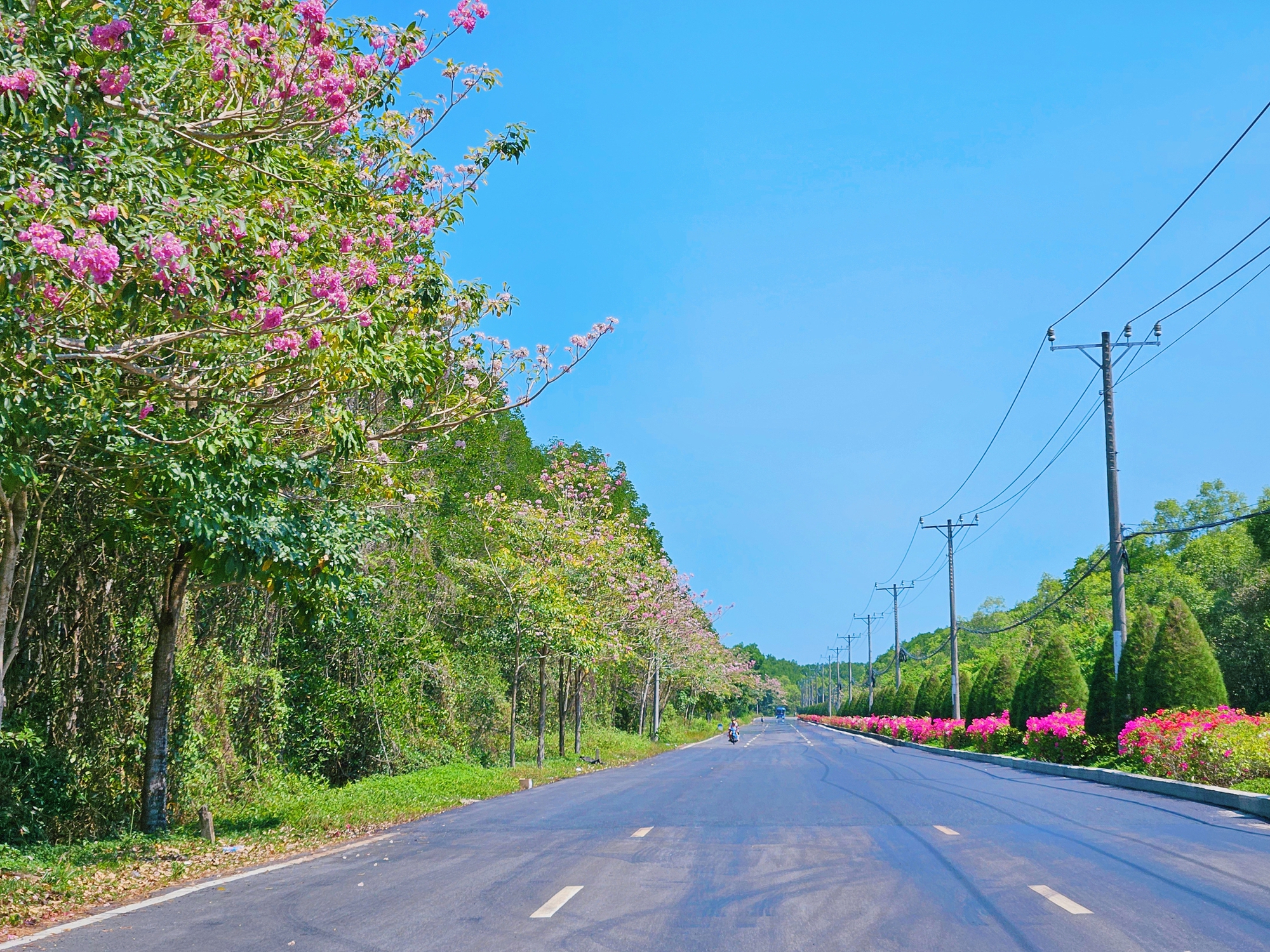 Một tuyến đường đang "đốn tim" giới trẻ TPHCM- Ảnh 21.