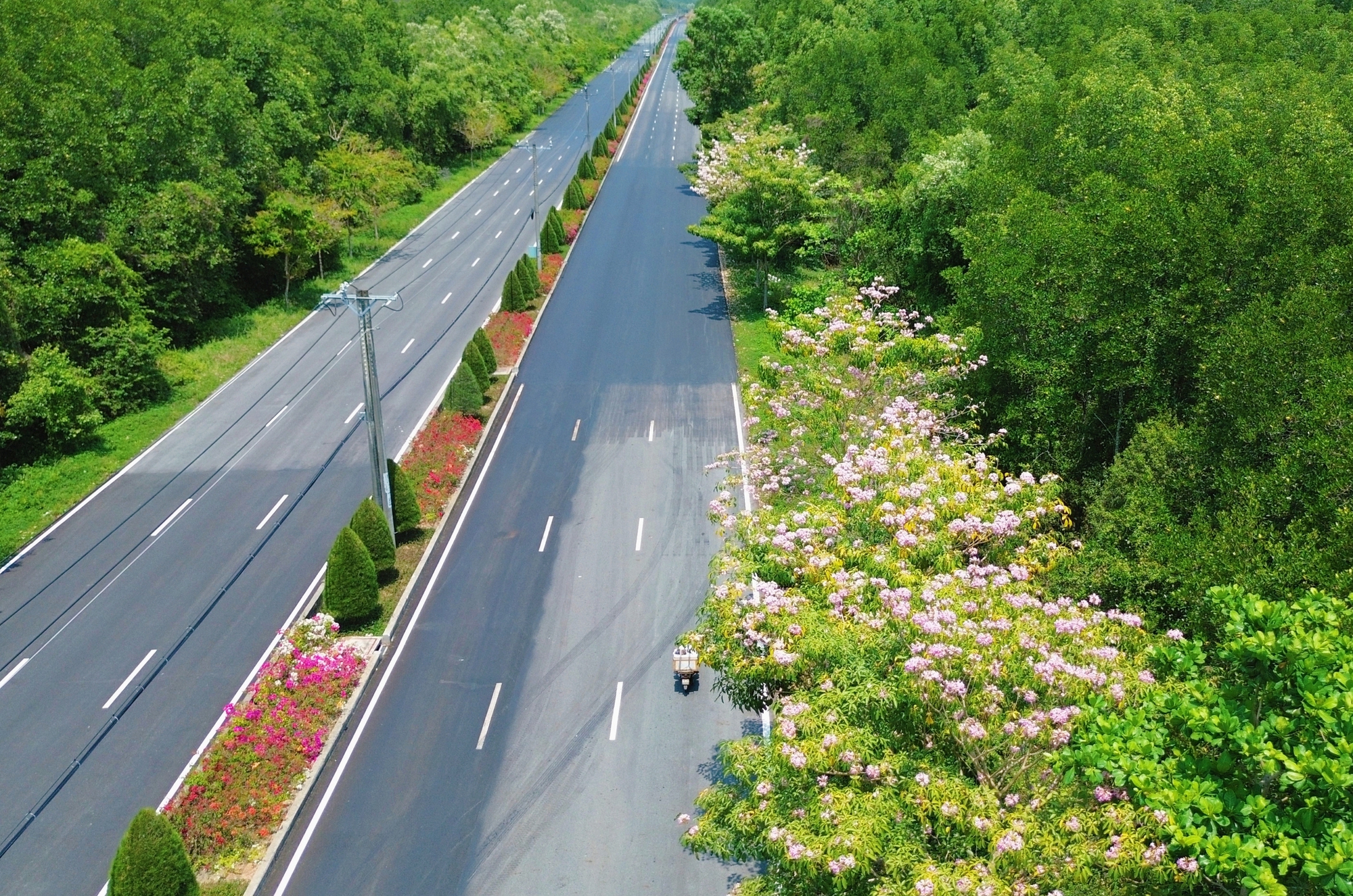 Một tuyến đường đang "đốn tim" giới trẻ TPHCM- Ảnh 17.