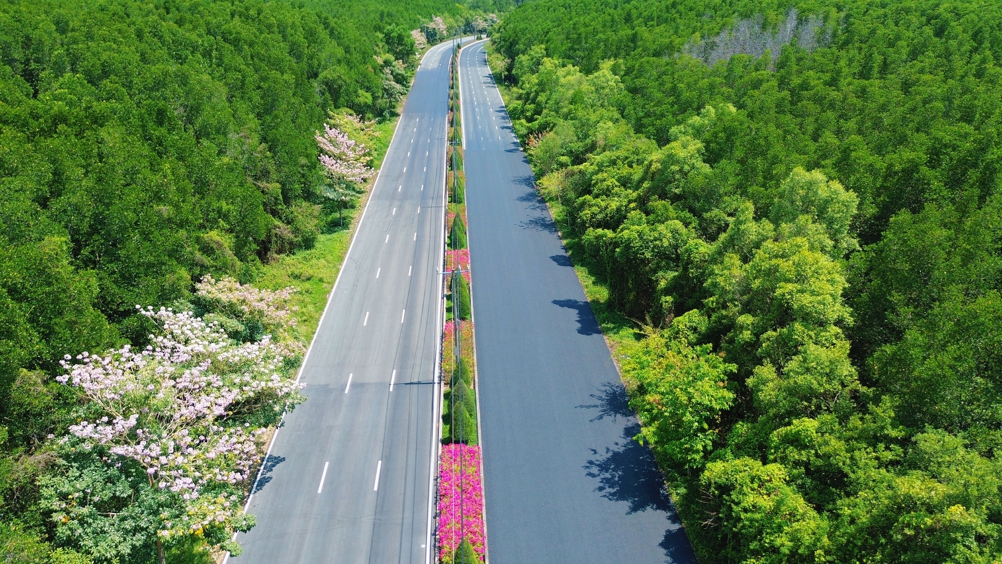 Một tuyến đường đang "đốn tim" giới trẻ TPHCM- Ảnh 8.