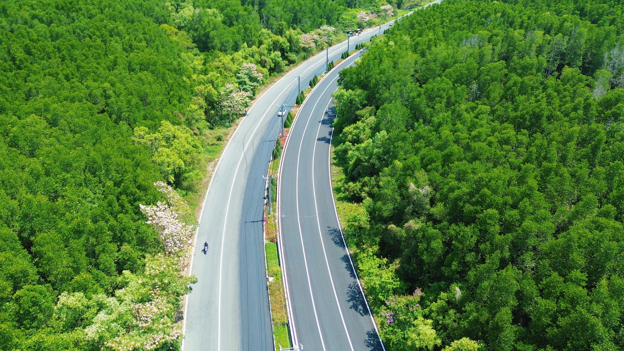 Một tuyến đường đang "đốn tim" giới trẻ TPHCM- Ảnh 6.