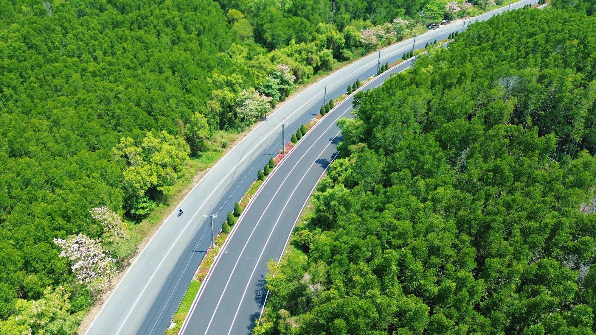 Một tuyến đường đang "đốn tim" giới trẻ TPHCM- Ảnh 7.