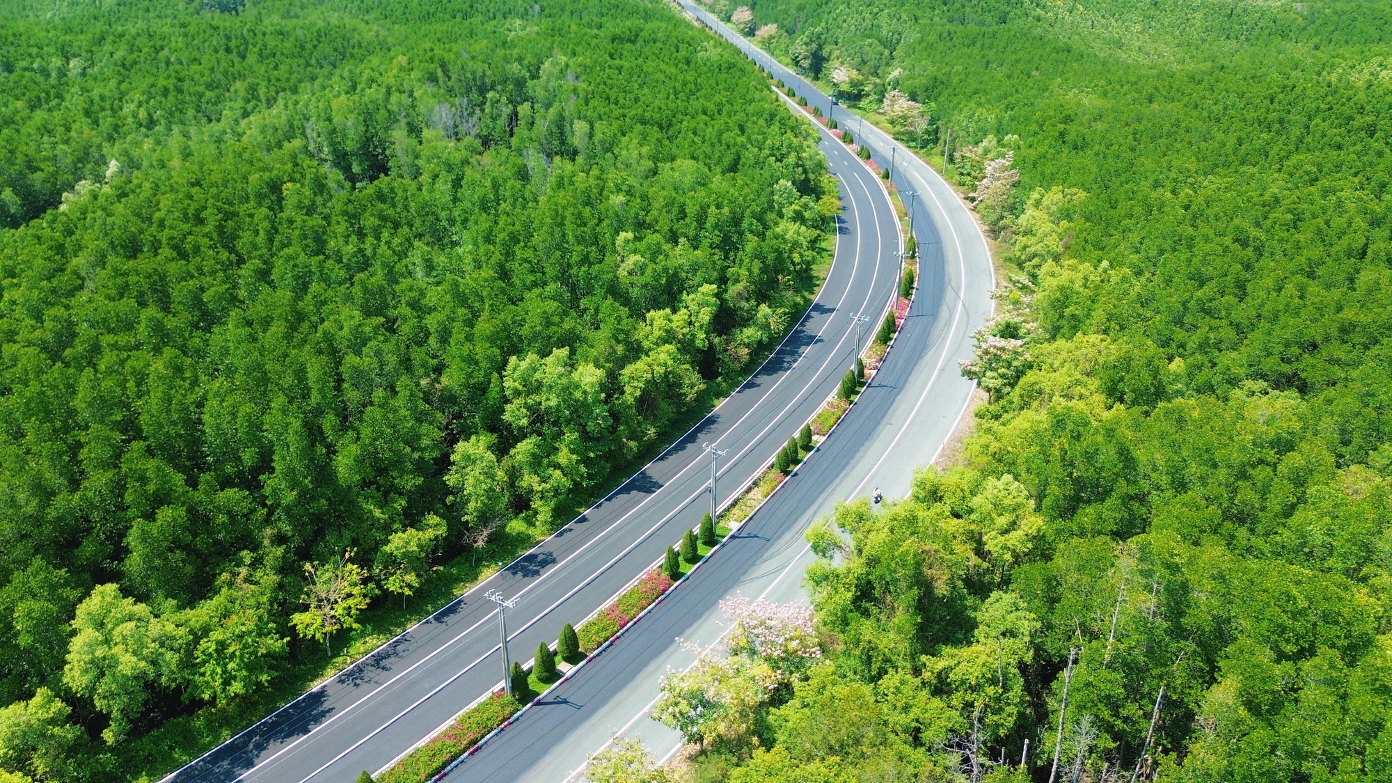 Một tuyến đường đang "đốn tim" giới trẻ TPHCM- Ảnh 5.