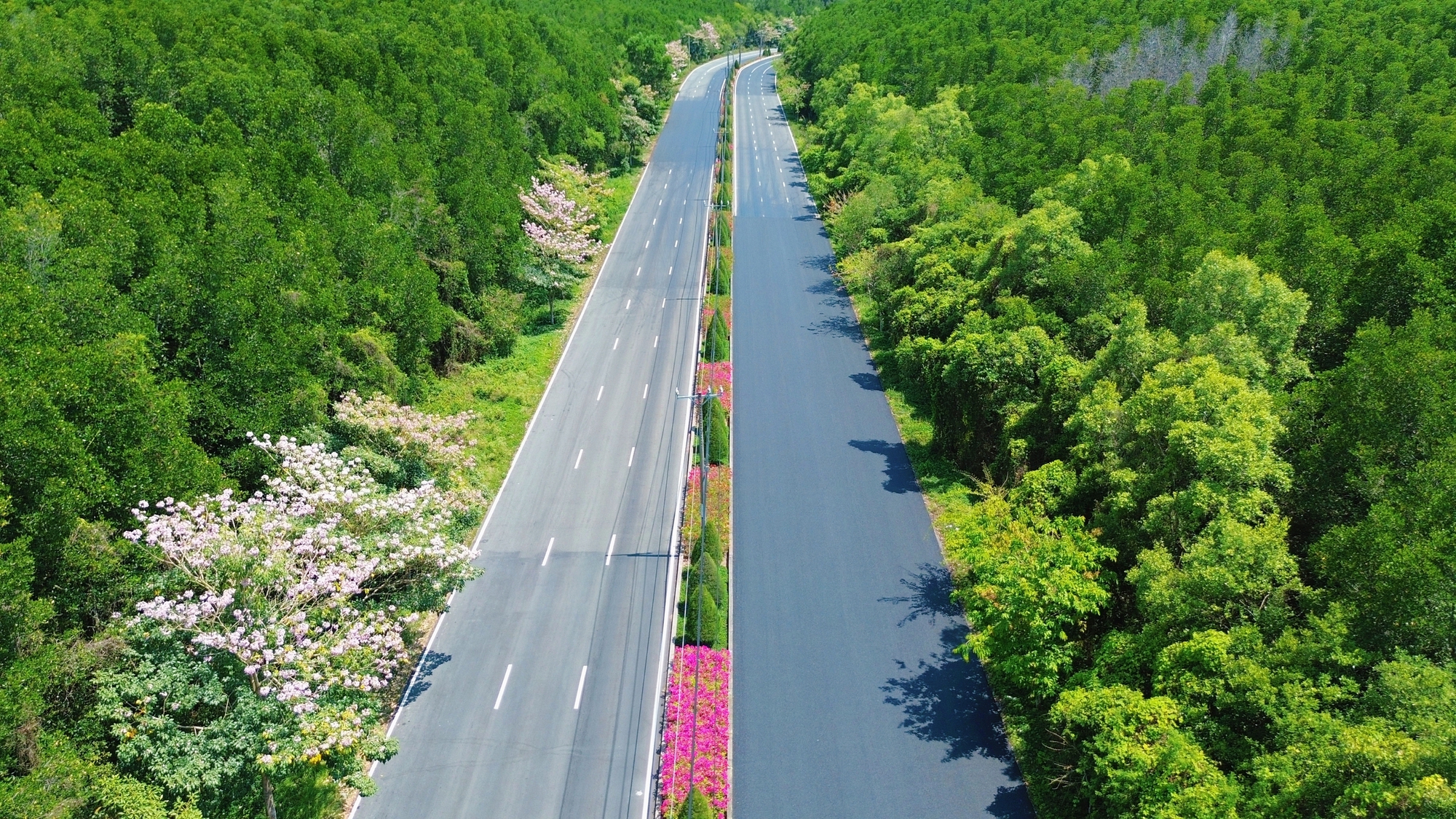 Một tuyến đường đang "đốn tim" giới trẻ TPHCM- Ảnh 4.