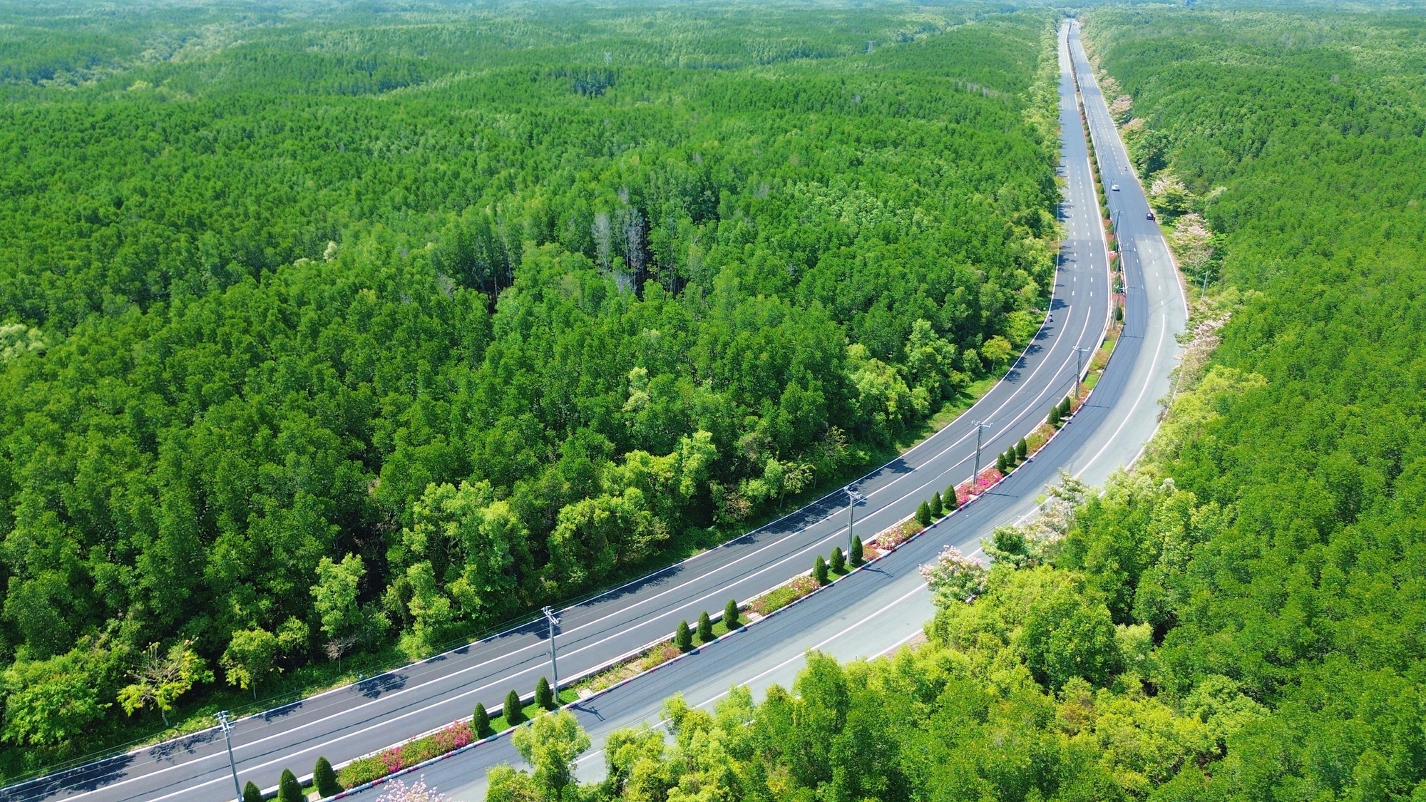 Một tuyến đường đang "đốn tim" giới trẻ TPHCM- Ảnh 3.