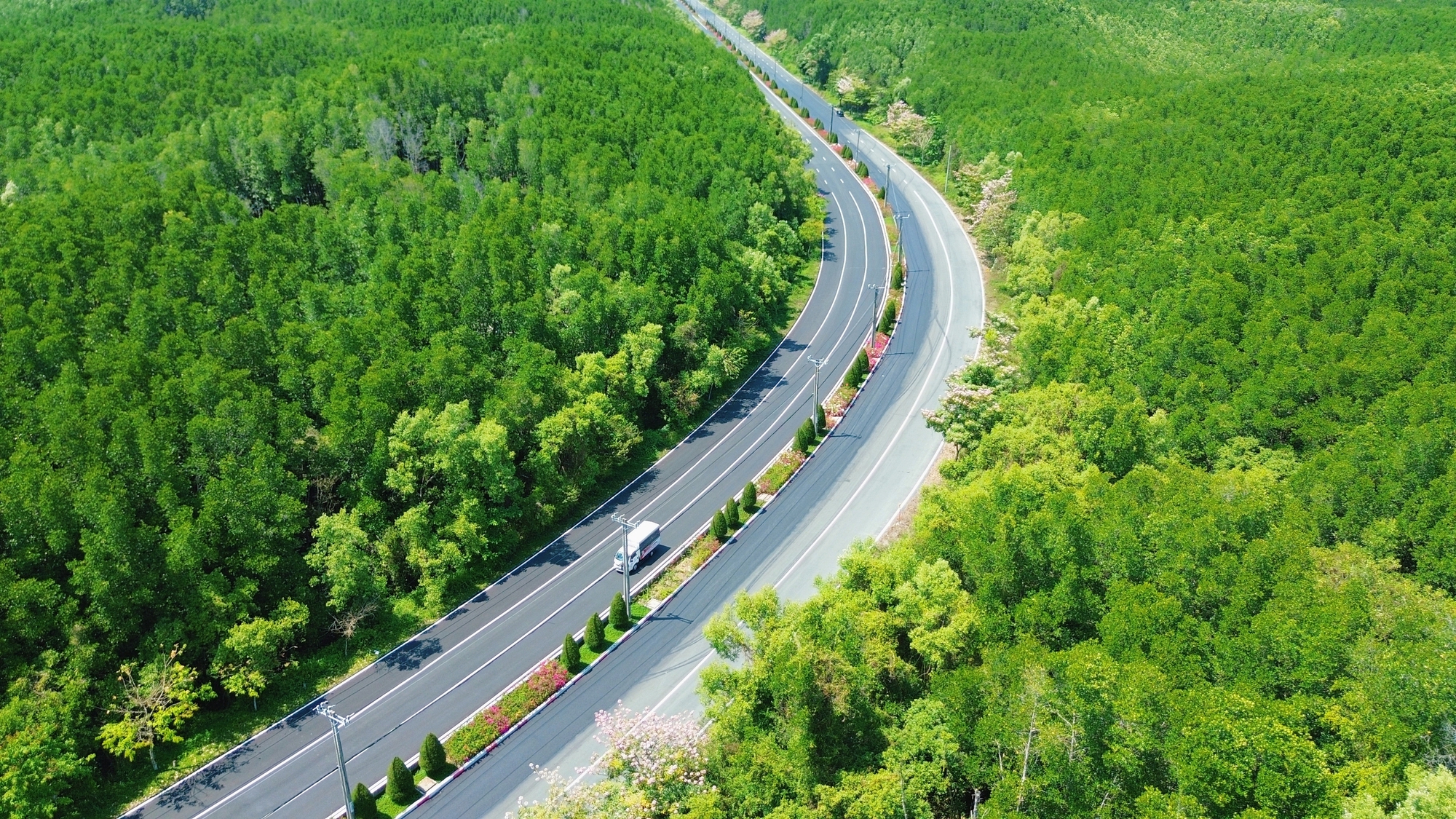 Một tuyến đường đang "đốn tim" giới trẻ TPHCM- Ảnh 2.