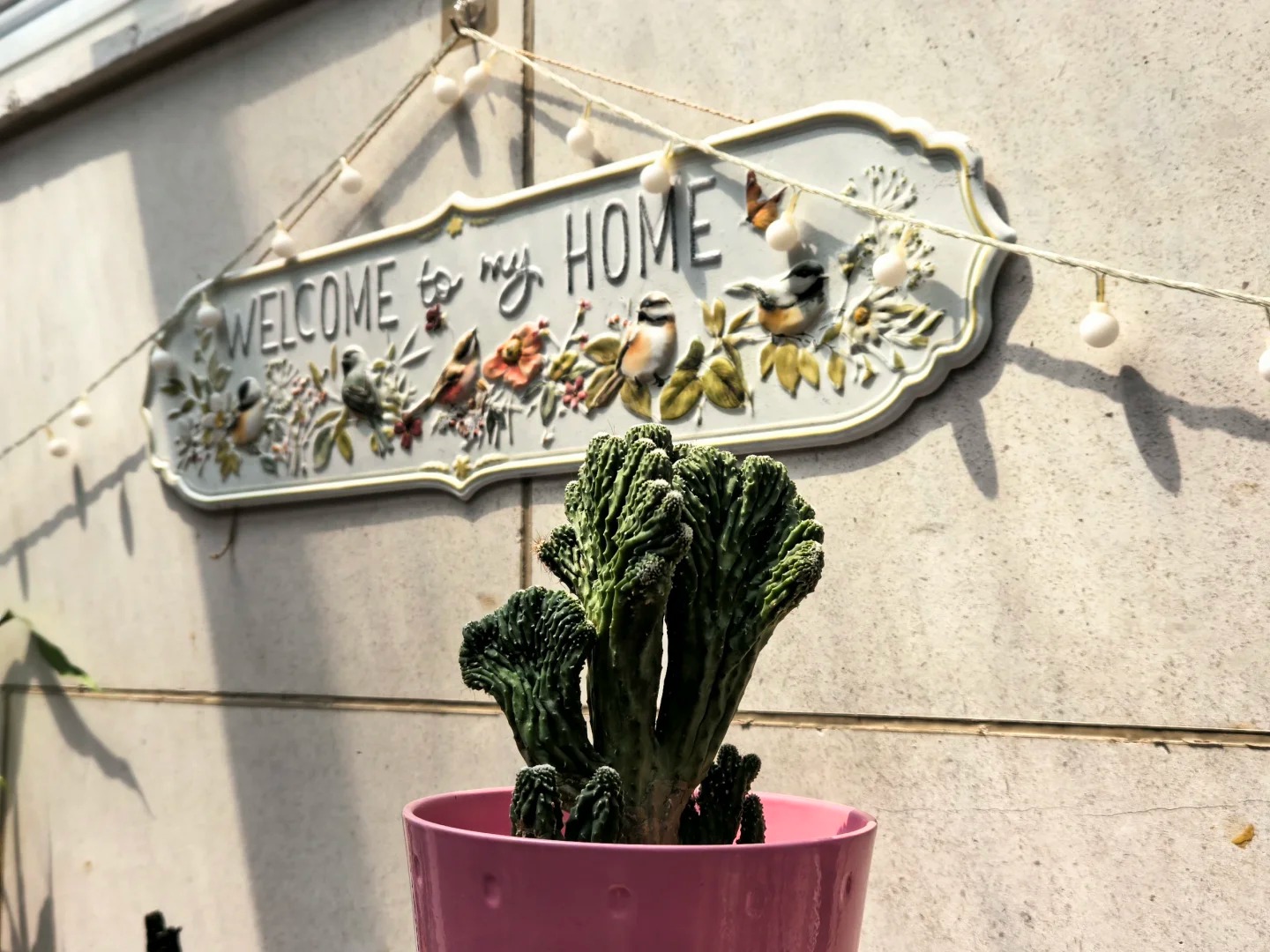 Ngắm "Thi&ecirc;n nhai tứ mỹ" Nghi&ecirc;m Khoan xắn tay &aacute;o l&agrave;m vườn: G&oacute;c nghi&ecirc;ng cực phẩm, b&iacute; k&iacute;p chăm c&acirc;y c&ograve;n xịn hơn!- Ảnh 28.