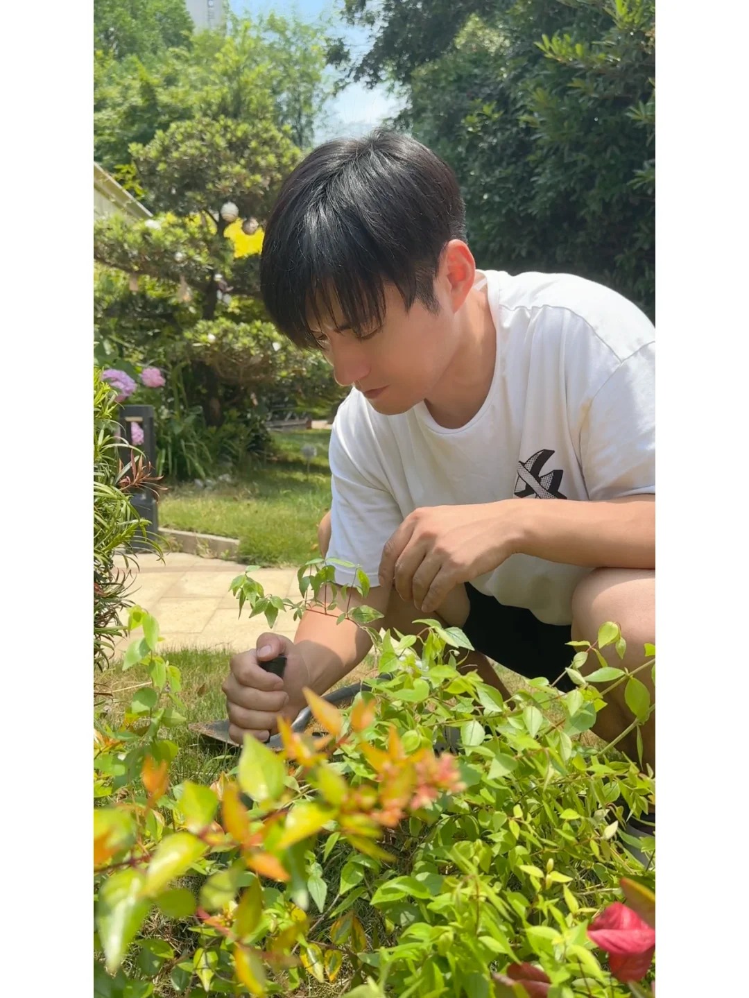 Ngắm "Thi&ecirc;n nhai tứ mỹ" Nghi&ecirc;m Khoan xắn tay &aacute;o l&agrave;m vườn: G&oacute;c nghi&ecirc;ng cực phẩm, b&iacute; k&iacute;p chăm c&acirc;y c&ograve;n xịn hơn!- Ảnh 7.