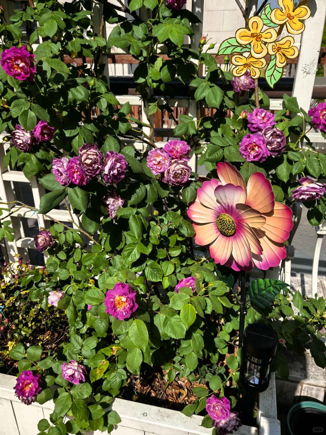 Ngắm "Thi&ecirc;n nhai tứ mỹ" Nghi&ecirc;m Khoan xắn tay &aacute;o l&agrave;m vườn: G&oacute;c nghi&ecirc;ng cực phẩm, b&iacute; k&iacute;p chăm c&acirc;y c&ograve;n xịn hơn!- Ảnh 22.