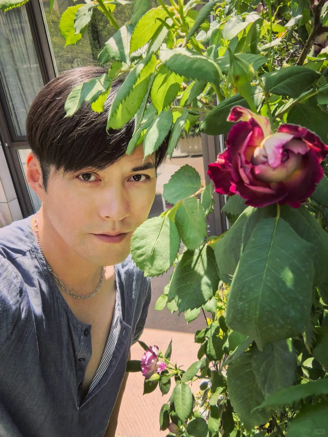 Ngắm "Thi&ecirc;n nhai tứ mỹ" Nghi&ecirc;m Khoan xắn tay &aacute;o l&agrave;m vườn: G&oacute;c nghi&ecirc;ng cực phẩm, b&iacute; k&iacute;p chăm c&acirc;y c&ograve;n xịn hơn!- Ảnh 2.