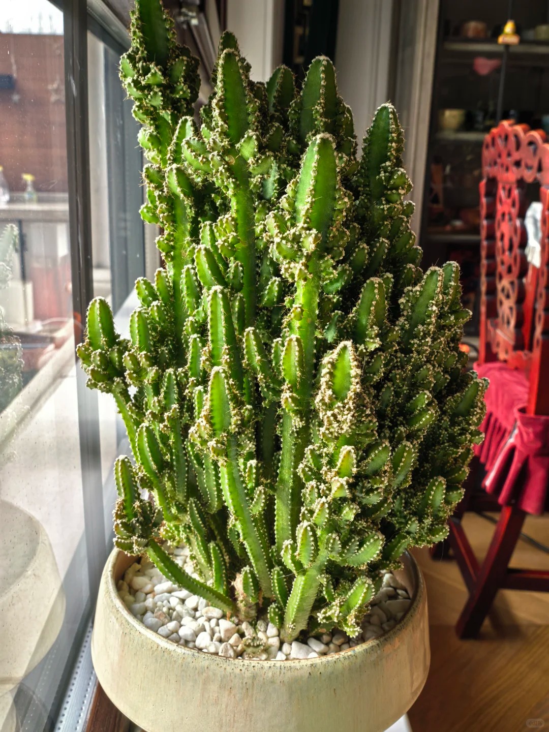 Ngắm "Thi&ecirc;n nhai tứ mỹ" Nghi&ecirc;m Khoan xắn tay &aacute;o l&agrave;m vườn: G&oacute;c nghi&ecirc;ng cực phẩm, b&iacute; k&iacute;p chăm c&acirc;y c&ograve;n xịn hơn!- Ảnh 23.