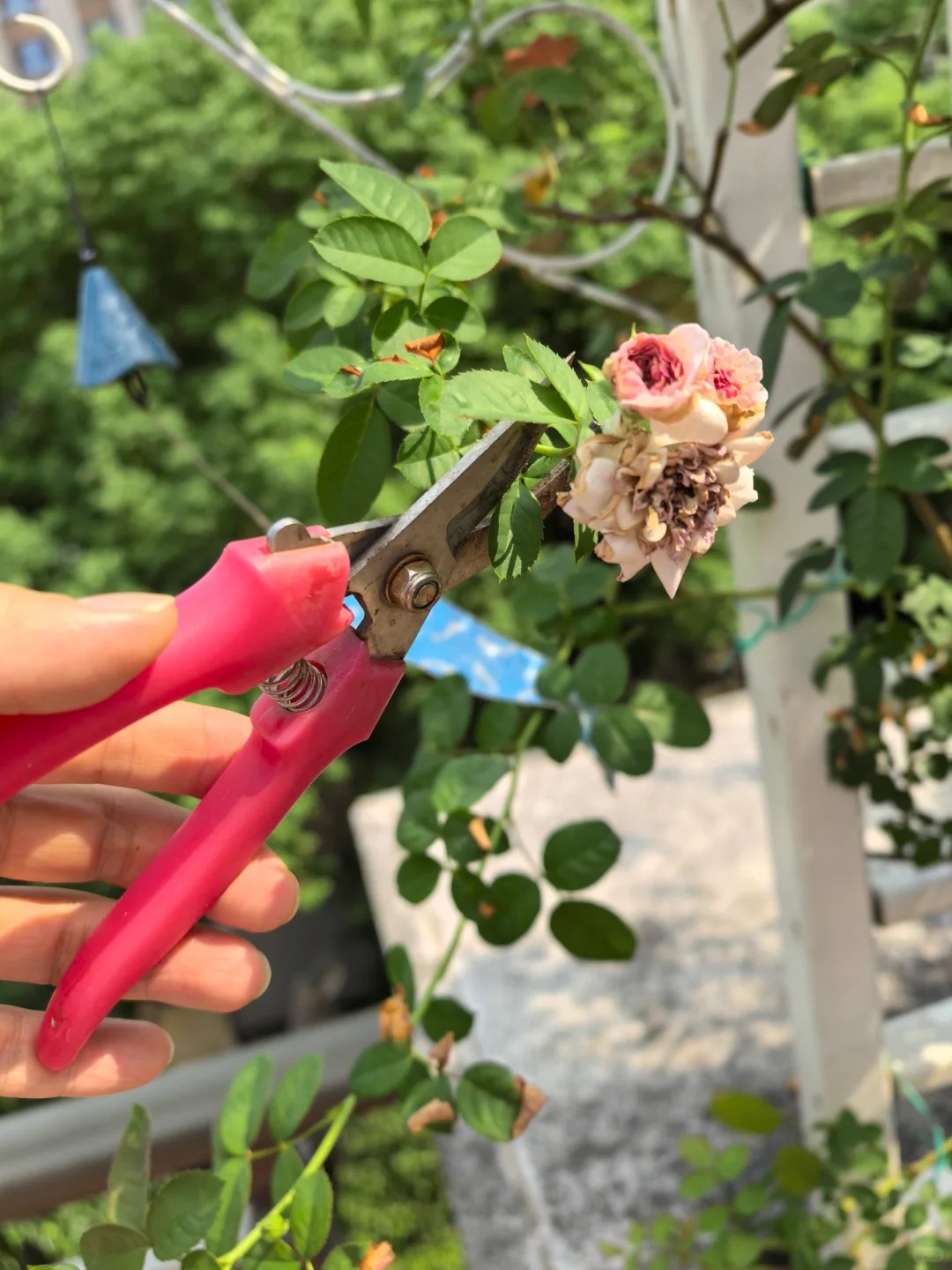 Ngắm "Thi&ecirc;n nhai tứ mỹ" Nghi&ecirc;m Khoan xắn tay &aacute;o l&agrave;m vườn: G&oacute;c nghi&ecirc;ng cực phẩm, b&iacute; k&iacute;p chăm c&acirc;y c&ograve;n xịn hơn!- Ảnh 14.