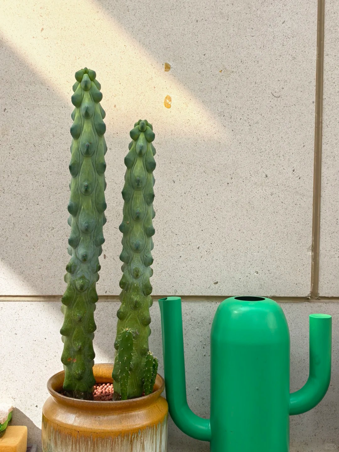 Ngắm "Thi&ecirc;n nhai tứ mỹ" Nghi&ecirc;m Khoan xắn tay &aacute;o l&agrave;m vườn: G&oacute;c nghi&ecirc;ng cực phẩm, b&iacute; k&iacute;p chăm c&acirc;y c&ograve;n xịn hơn!- Ảnh 26.