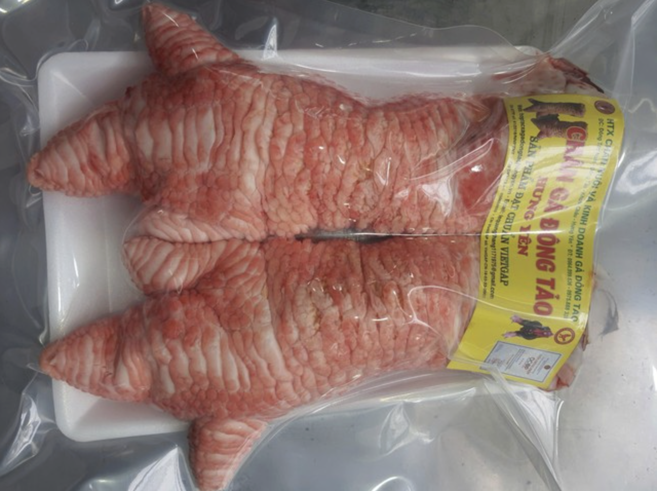 Giống g&agrave; tiến vua mang đ&ocirc;i ch&acirc;n vảy rồng ở Hưng Y&ecirc;n, nay gi&aacute; 50 triệu đồng giới nh&agrave; gi&agrave;u vẫn xếp h&agrave;ng chờ mua- Ảnh 2.