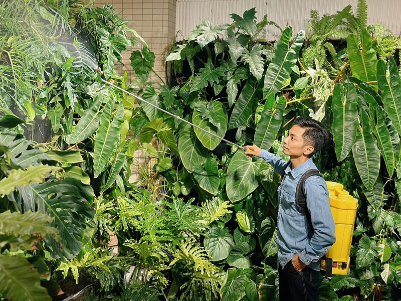 Nh&agrave; ri&ecirc;ng trăm tỷ của Phan Hiển - Kh&aacute;nh Thi: Rộng 800m&sup2; nằm s&aacute;t mặt đường lớn, o&aacute;ch đến nỗi ai đi ngang cũng ngo&aacute;i nh&igrave;n- Ảnh 11.