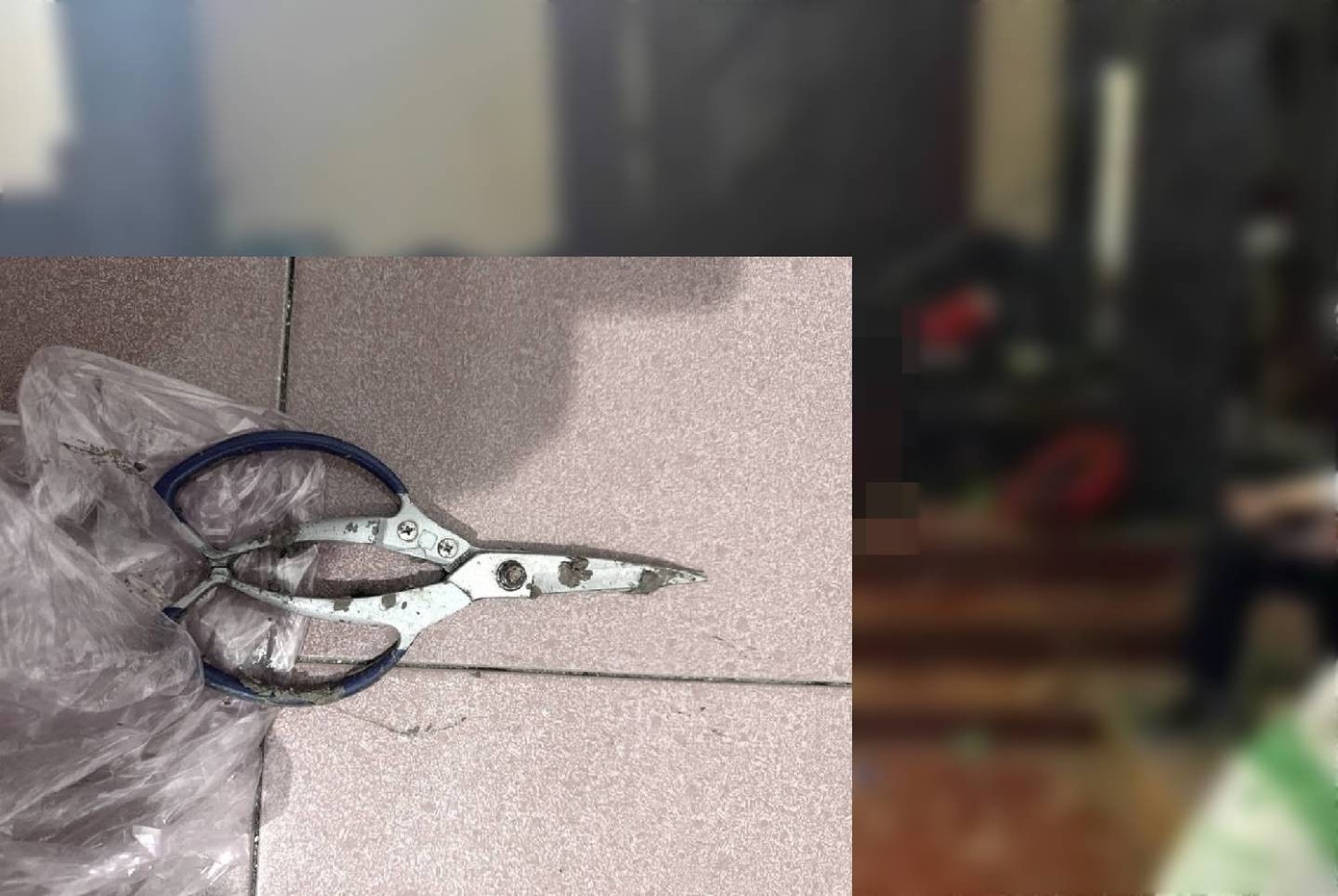 D&ugrave;ng k&eacute;o đ&acirc;m nhiều nh&aacute;t v&agrave;o ngực, bụng 'vợ hờ' v&igrave; bị đuổi ra khỏi nh&agrave;- Ảnh 1.