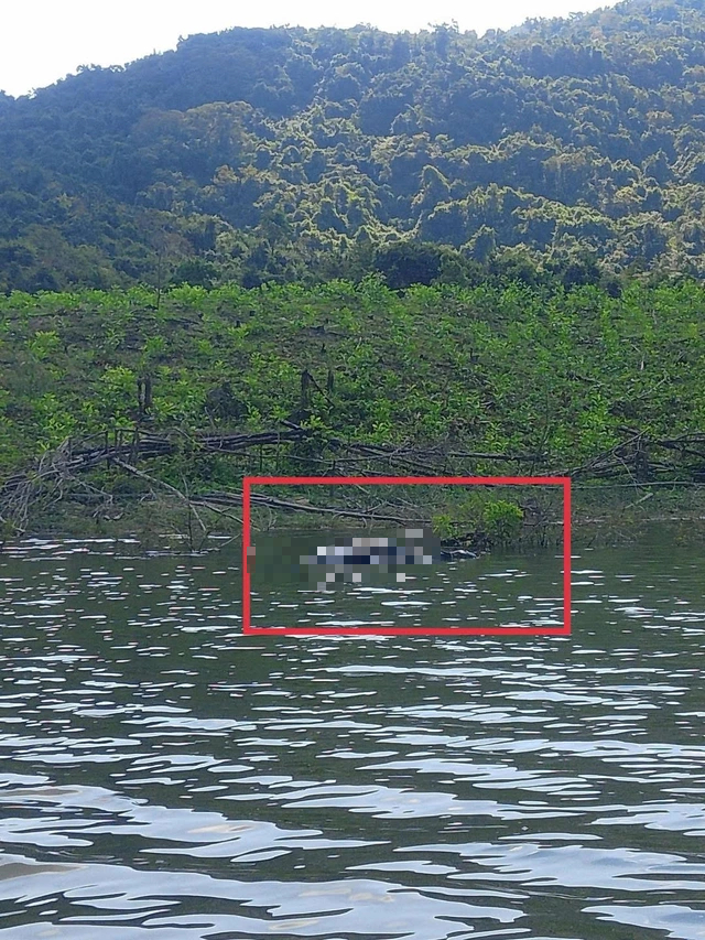 Gia Lai: Điều tra vụ người đ&agrave;n &ocirc;ng chết chưa r&otilde; nguy&ecirc;n nh&acirc;n ở hồ Đ&aacute; Trải- Ảnh 1.