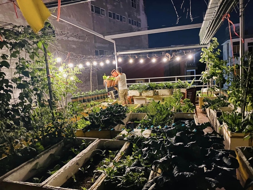 Bỏ m&aacute;i t&ocirc;n chống n&oacute;ng để trồng rau, b&agrave; mẹ 8X biến s&acirc;n thượng th&agrave;nh "rừng nhiệt đới" giữa l&ograve;ng phố cảng- Ảnh 11.