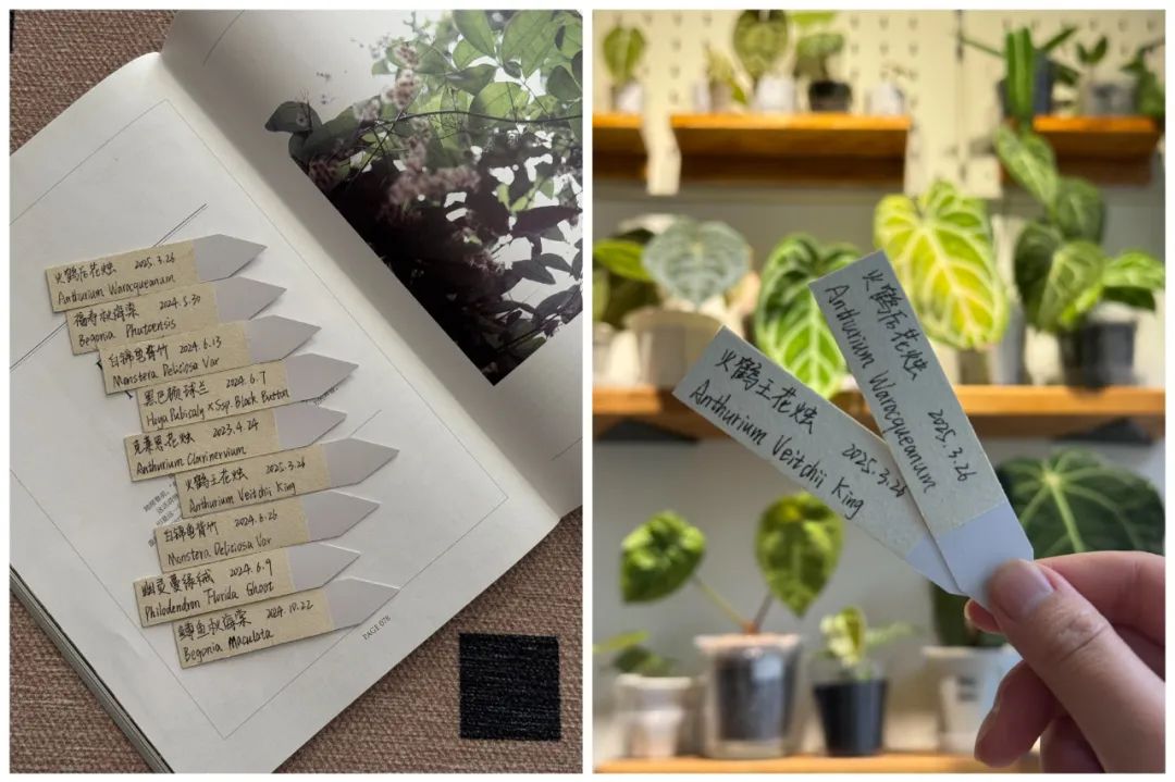 Định vứt đi cho đỡ chật nh&agrave;, ai ngờ 7 m&oacute;n đồ n&agrave;y lại trở th&agrave;nh thứ t&ocirc;i d&ugrave;ng nhiều nhất mỗi ng&agrave;y- Ảnh 10.