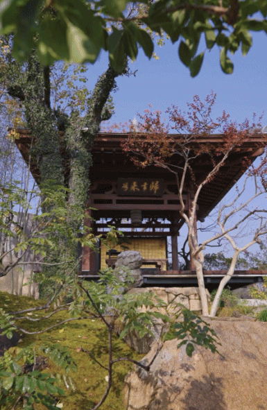 Từng nhặt r&aacute;c, ngủ gầm cầu, người đ&agrave;n &ocirc;ng 8X về qu&ecirc; x&acirc;y cơ ngơi 1700m2 với 6 gi&agrave;n nh&agrave; gỗ đẹp như ti&ecirc;n cảnh để b&aacute;o hiếu cha mẹ- Ảnh 5.