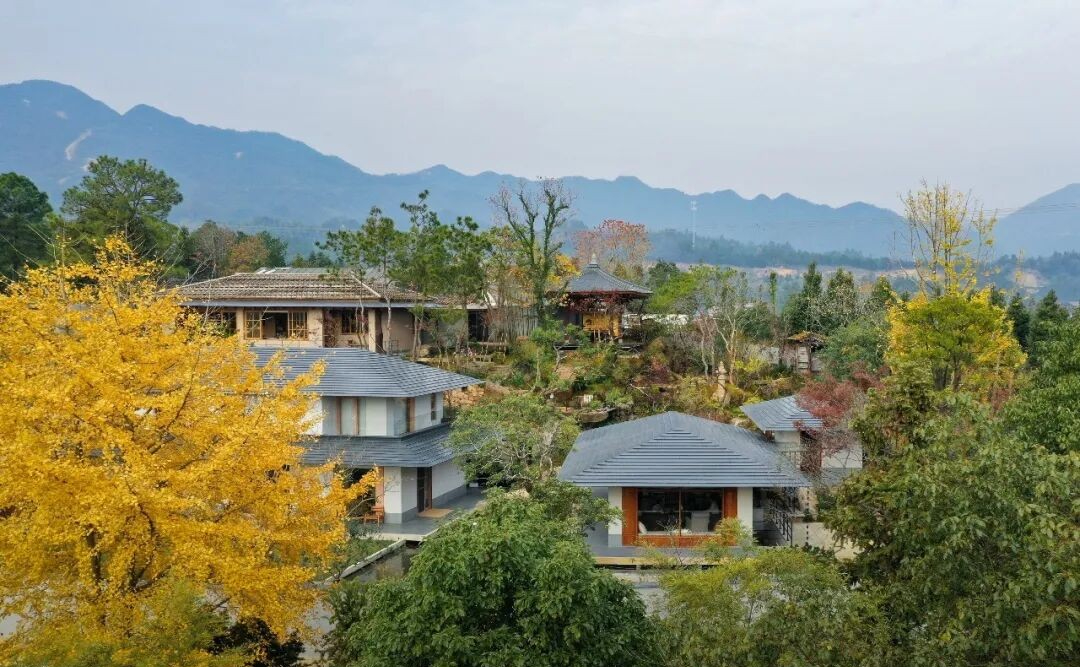 Từng nhặt r&aacute;c, ngủ gầm cầu, người đ&agrave;n &ocirc;ng 8X về qu&ecirc; x&acirc;y cơ ngơi 1700m2 với 6 gi&agrave;n nh&agrave; gỗ đẹp như ti&ecirc;n cảnh để b&aacute;o hiếu cha mẹ- Ảnh 2.