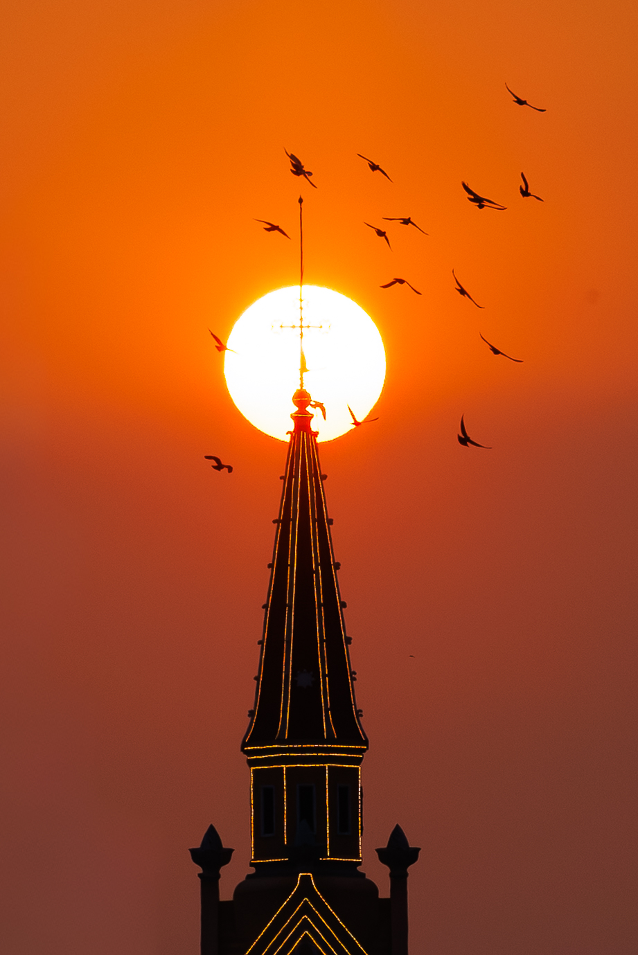 Chuyện của những người rủ nhau đi "nhặt" &aacute;nh ho&agrave;ng h&ocirc;n rơi tr&ecirc;n th&aacute;nh gi&aacute; Nh&agrave; thờ Chợ Lớn- Ảnh 3.