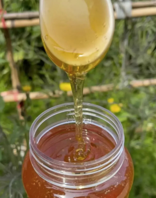 5 thứ "bất tử" trong bếp, bạn d&ugrave;ng cả đời vẫn cứ ngon l&agrave;nh- Ảnh 1.