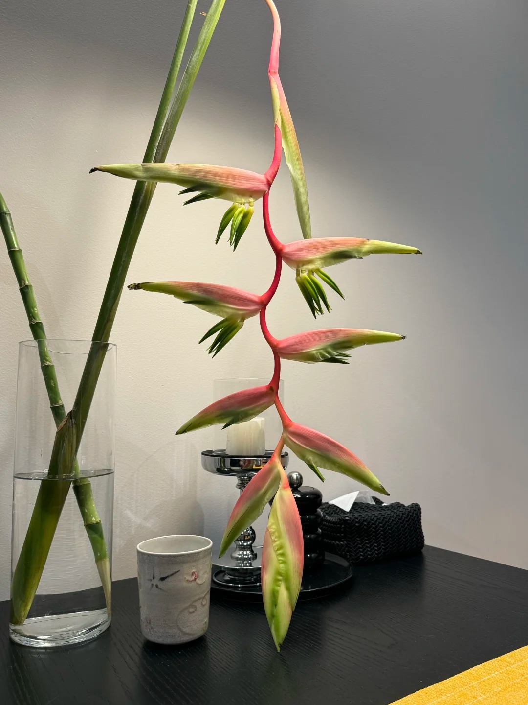 B&oacute;c trần sự thật về lo&agrave;i hoa "Hồng Hạc" đang rần rần c&otilde;i mạng: Đẹp mộng mị nhưng đỏng đảnh kh&oacute; chiều, lỡ mua rồi th&igrave; cắm sao cho sang?- Ảnh 29.