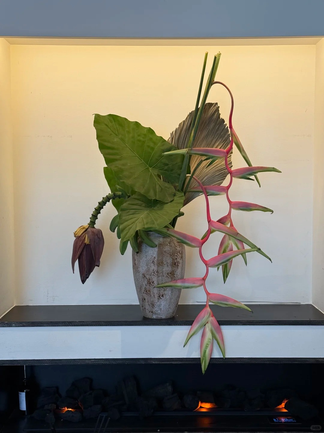 B&oacute;c trần sự thật về lo&agrave;i hoa "Hồng Hạc" đang rần rần c&otilde;i mạng: Đẹp mộng mị nhưng đỏng đảnh kh&oacute; chiều, lỡ mua rồi th&igrave; cắm sao cho sang?- Ảnh 31.