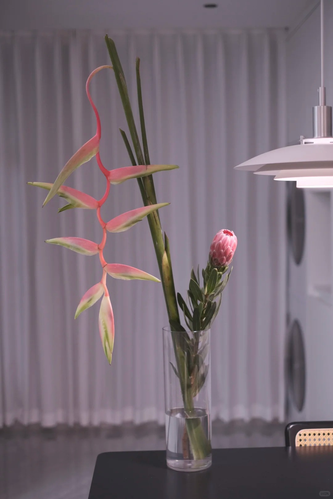 B&oacute;c trần sự thật về lo&agrave;i hoa "Hồng Hạc" đang rần rần c&otilde;i mạng: Đẹp mộng mị nhưng đỏng đảnh kh&oacute; chiều, lỡ mua rồi th&igrave; cắm sao cho sang?- Ảnh 28.