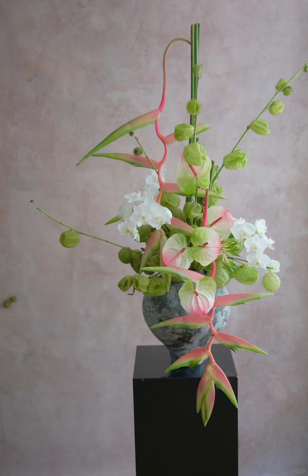 B&oacute;c trần sự thật về lo&agrave;i hoa "Hồng Hạc" đang rần rần c&otilde;i mạng: Đẹp mộng mị nhưng đỏng đảnh kh&oacute; chiều, lỡ mua rồi th&igrave; cắm sao cho sang?- Ảnh 21.