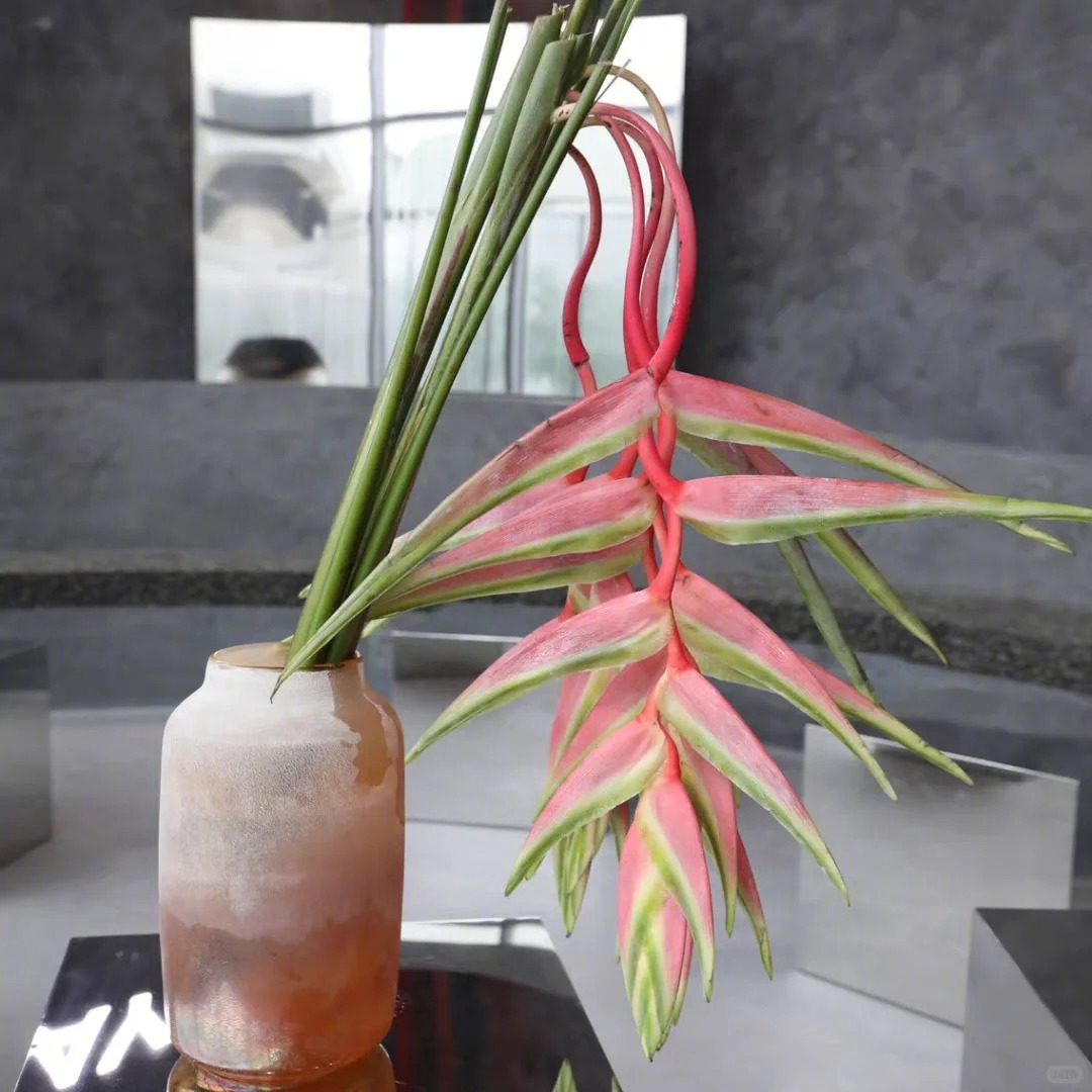 B&oacute;c trần sự thật về lo&agrave;i hoa "Hồng Hạc" đang rần rần c&otilde;i mạng: Đẹp mộng mị nhưng đỏng đảnh kh&oacute; chiều, lỡ mua rồi th&igrave; cắm sao cho sang?- Ảnh 19.