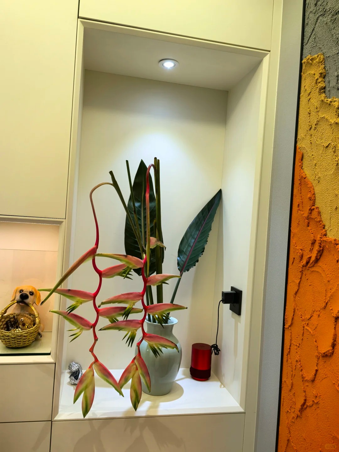 B&oacute;c trần sự thật về lo&agrave;i hoa "Hồng Hạc" đang rần rần c&otilde;i mạng: Đẹp mộng mị nhưng đỏng đảnh kh&oacute; chiều, lỡ mua rồi th&igrave; cắm sao cho sang?- Ảnh 25.