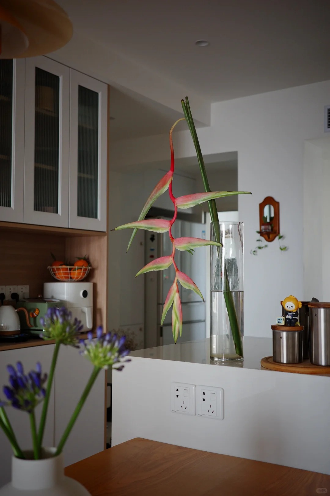 B&oacute;c trần sự thật về lo&agrave;i hoa "Hồng Hạc" đang rần rần c&otilde;i mạng: Đẹp mộng mị nhưng đỏng đảnh kh&oacute; chiều, lỡ mua rồi th&igrave; cắm sao cho sang?- Ảnh 17.