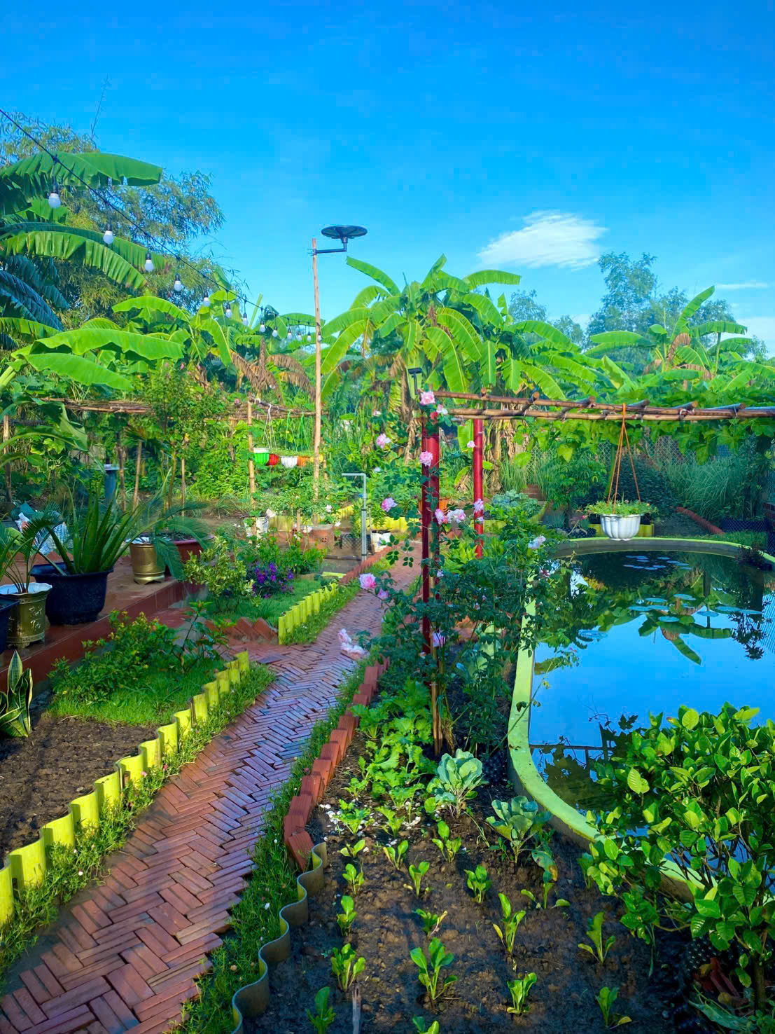 Ch&ecirc;nh v&ecirc;nh ở th&agrave;nh phố, ch&agrave;ng trai 9x Vĩnh Long về qu&ecirc; x&acirc;y "thi&ecirc;n đường hạ giới" với 100 triệu đồng: Trồng rau, nu&ocirc;i c&aacute; v&agrave; 1001 thứ hoa thơm...- Ảnh 9.