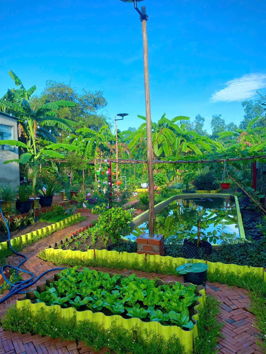 Ch&ecirc;nh v&ecirc;nh ở th&agrave;nh phố, ch&agrave;ng trai 9x Vĩnh Long về qu&ecirc; x&acirc;y "thi&ecirc;n đường hạ giới" với 100 triệu đồng: Trồng rau, nu&ocirc;i c&aacute; v&agrave; 1001 thứ hoa thơm...- Ảnh 6.