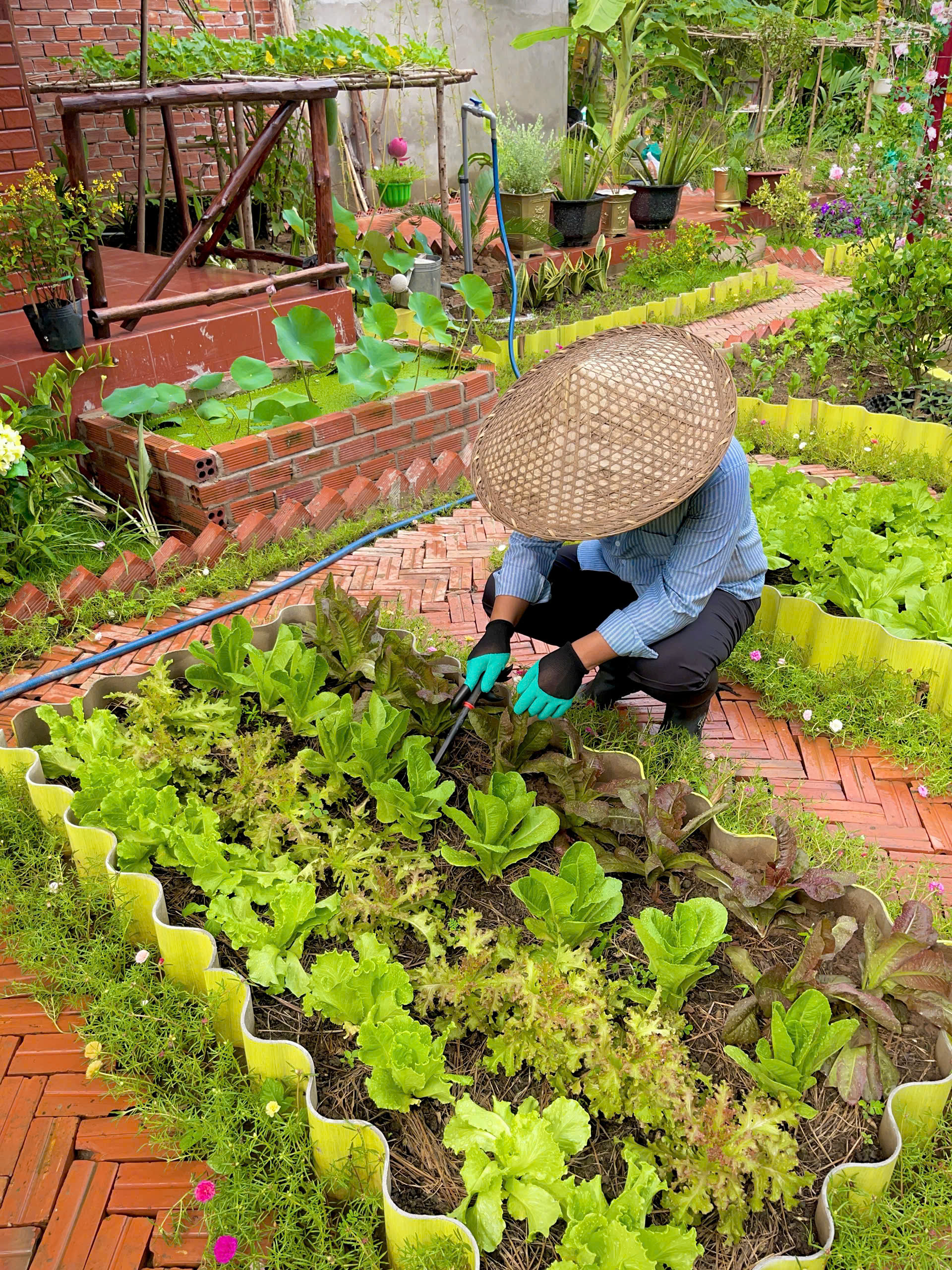 Ch&ecirc;nh v&ecirc;nh ở th&agrave;nh phố, ch&agrave;ng trai 9x Vĩnh Long về qu&ecirc; x&acirc;y "thi&ecirc;n đường hạ giới" với 100 triệu đồng: Trồng rau, nu&ocirc;i c&aacute; v&agrave; 1001 thứ hoa thơm...- Ảnh 4.
