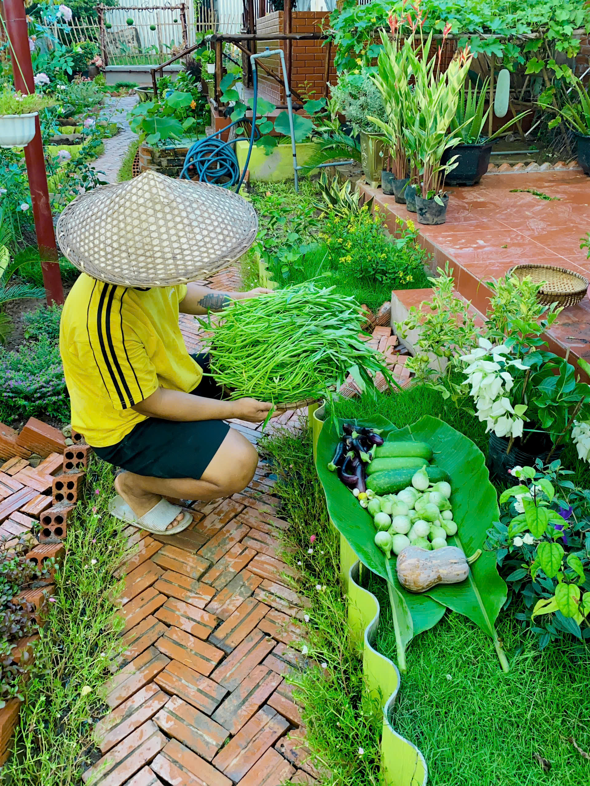 Ch&ecirc;nh v&ecirc;nh ở th&agrave;nh phố, ch&agrave;ng trai 9x Vĩnh Long về qu&ecirc; x&acirc;y "thi&ecirc;n đường hạ giới" với 100 triệu đồng: Trồng rau, nu&ocirc;i c&aacute; v&agrave; 1001 thứ hoa thơm...- Ảnh 12.