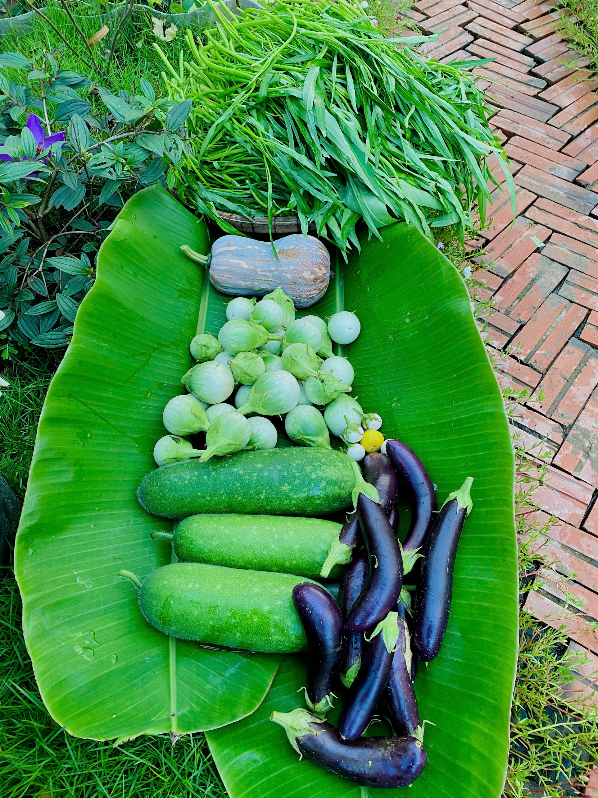 Ch&ecirc;nh v&ecirc;nh ở th&agrave;nh phố, ch&agrave;ng trai 9x Vĩnh Long về qu&ecirc; x&acirc;y "thi&ecirc;n đường hạ giới" với 100 triệu đồng: Trồng rau, nu&ocirc;i c&aacute; v&agrave; 1001 thứ hoa thơm...- Ảnh 17.