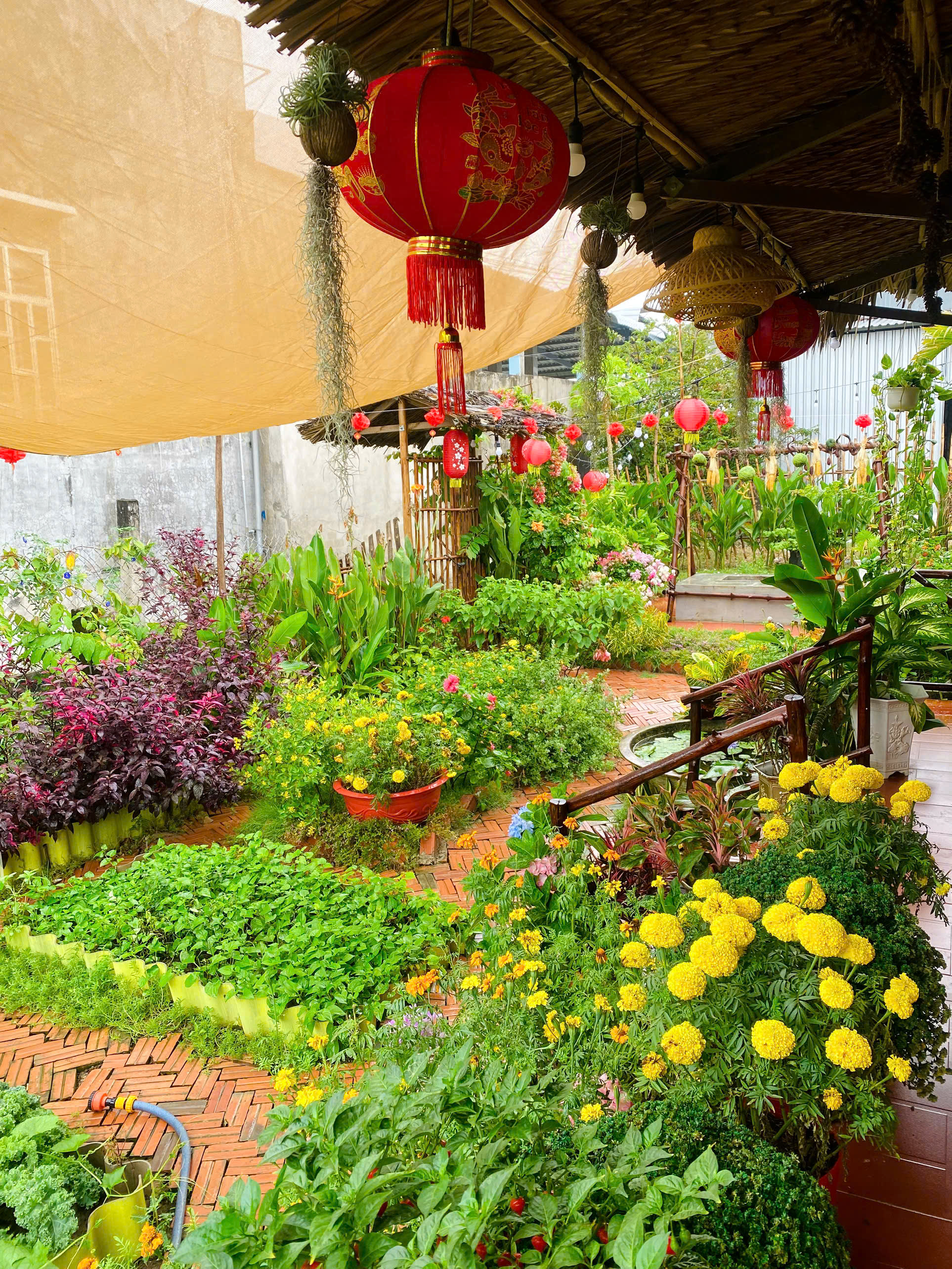 Ch&ecirc;nh v&ecirc;nh ở th&agrave;nh phố, ch&agrave;ng trai 9x Vĩnh Long về qu&ecirc; x&acirc;y "thi&ecirc;n đường hạ giới" với 100 triệu đồng: Trồng rau, nu&ocirc;i c&aacute; v&agrave; 1001 thứ hoa thơm...- Ảnh 10.