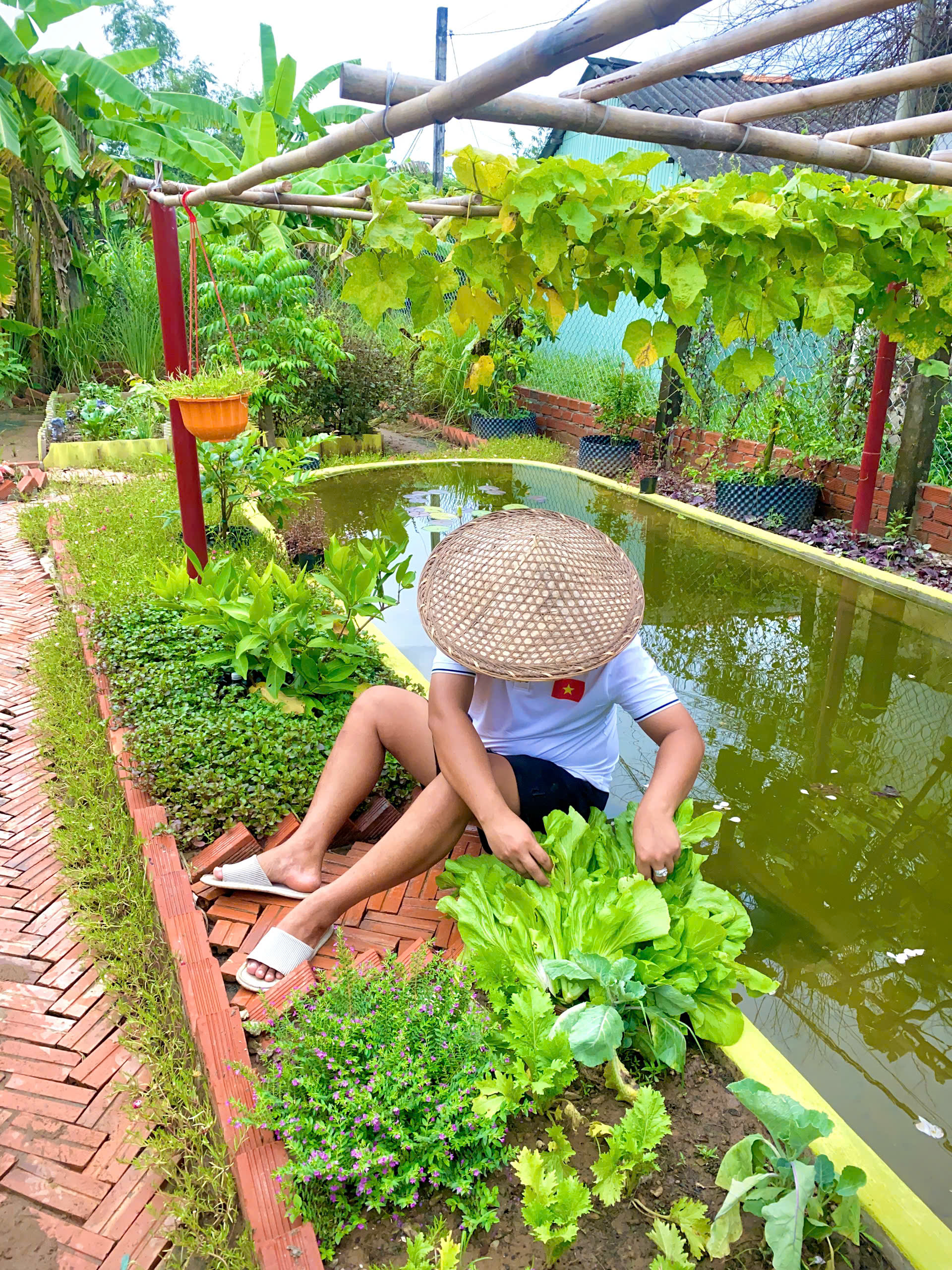 Ch&ecirc;nh v&ecirc;nh ở th&agrave;nh phố, ch&agrave;ng trai 9x Vĩnh Long về qu&ecirc; x&acirc;y "thi&ecirc;n đường hạ giới" với 100 triệu đồng: Trồng rau, nu&ocirc;i c&aacute; v&agrave; 1001 thứ hoa thơm...- Ảnh 18.