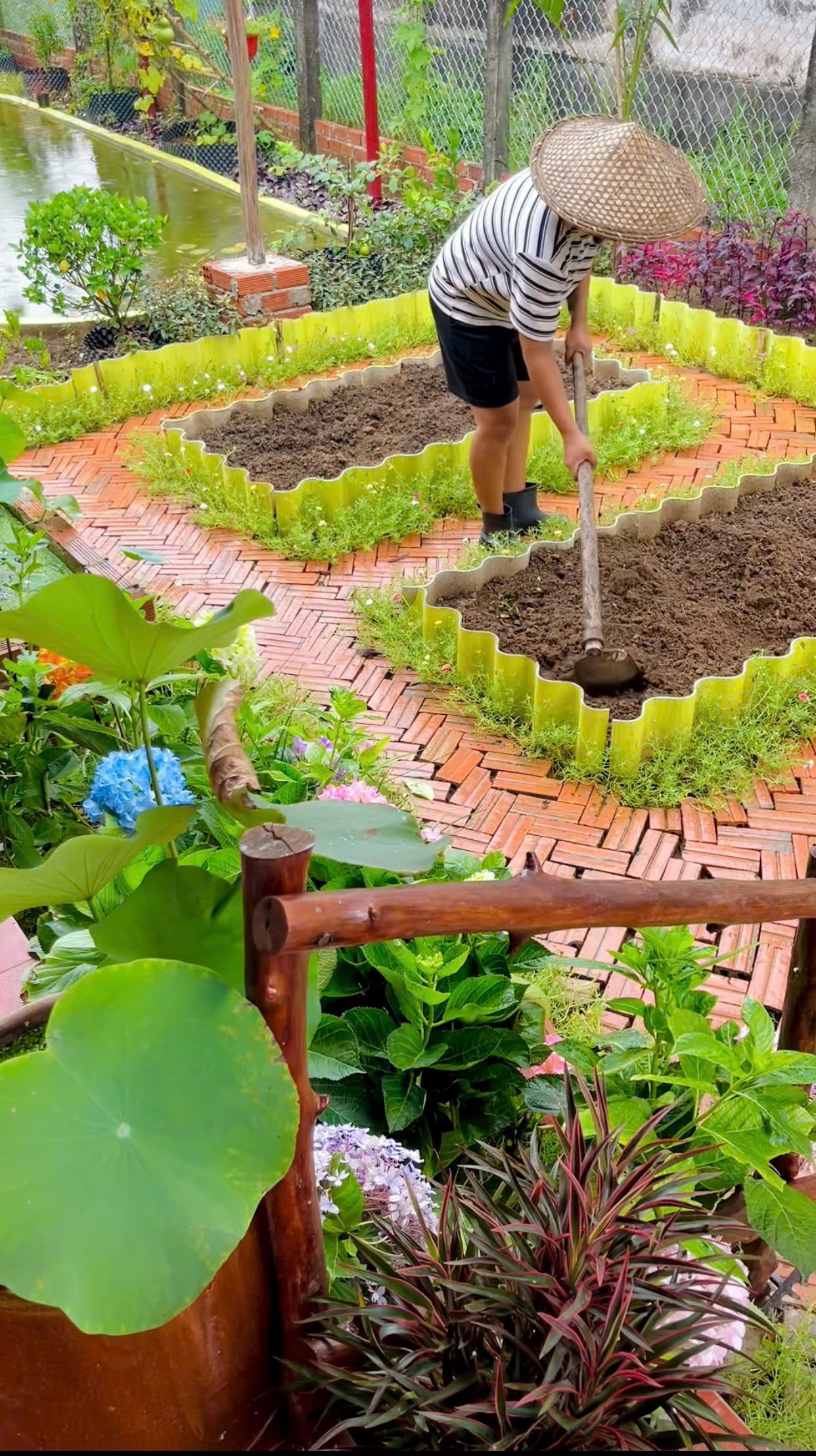 Ch&ecirc;nh v&ecirc;nh ở th&agrave;nh phố, ch&agrave;ng trai 9x Vĩnh Long về qu&ecirc; x&acirc;y "thi&ecirc;n đường hạ giới" với 100 triệu đồng: Trồng rau, nu&ocirc;i c&aacute; v&agrave; 1001 thứ hoa thơm...- Ảnh 21.