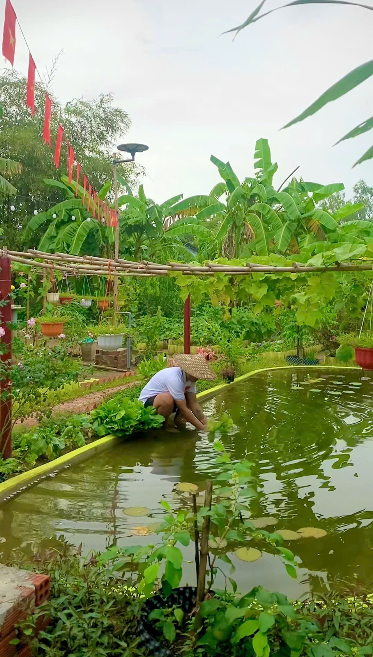 Ch&ecirc;nh v&ecirc;nh ở th&agrave;nh phố, ch&agrave;ng trai 9x Vĩnh Long về qu&ecirc; x&acirc;y "thi&ecirc;n đường hạ giới" với 100 triệu đồng: Trồng rau, nu&ocirc;i c&aacute; v&agrave; 1001 thứ hoa thơm...- Ảnh 22.