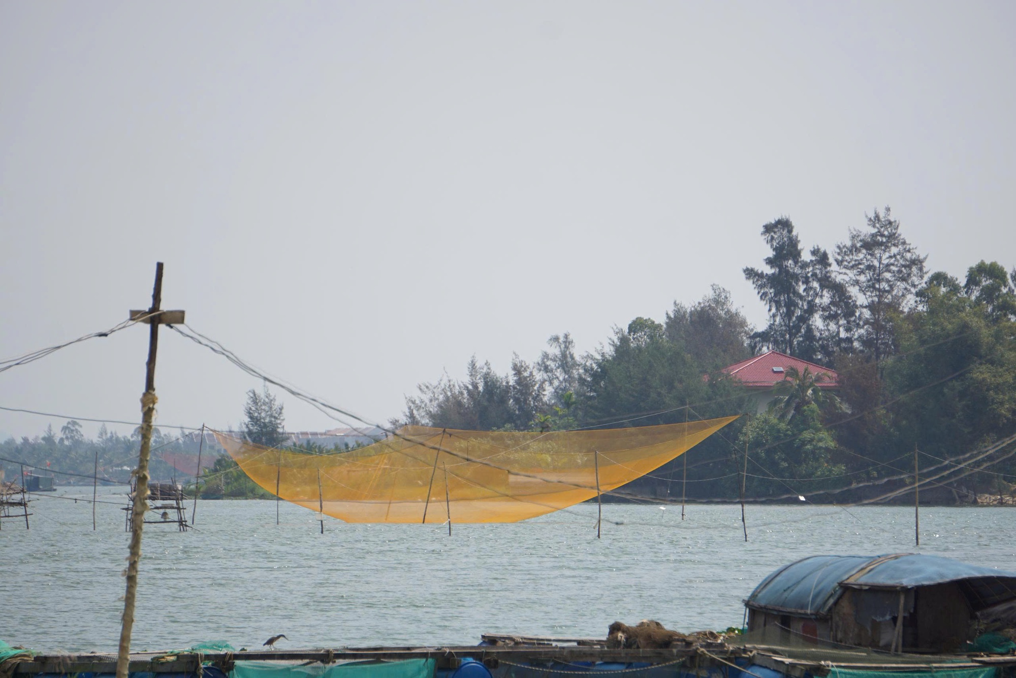 L&atilde;o ngư ở Hội An bất ngờ nổi tiếng sau bức ảnh "Mắt c&aacute;" đoạt giải quốc tế- Ảnh 4.